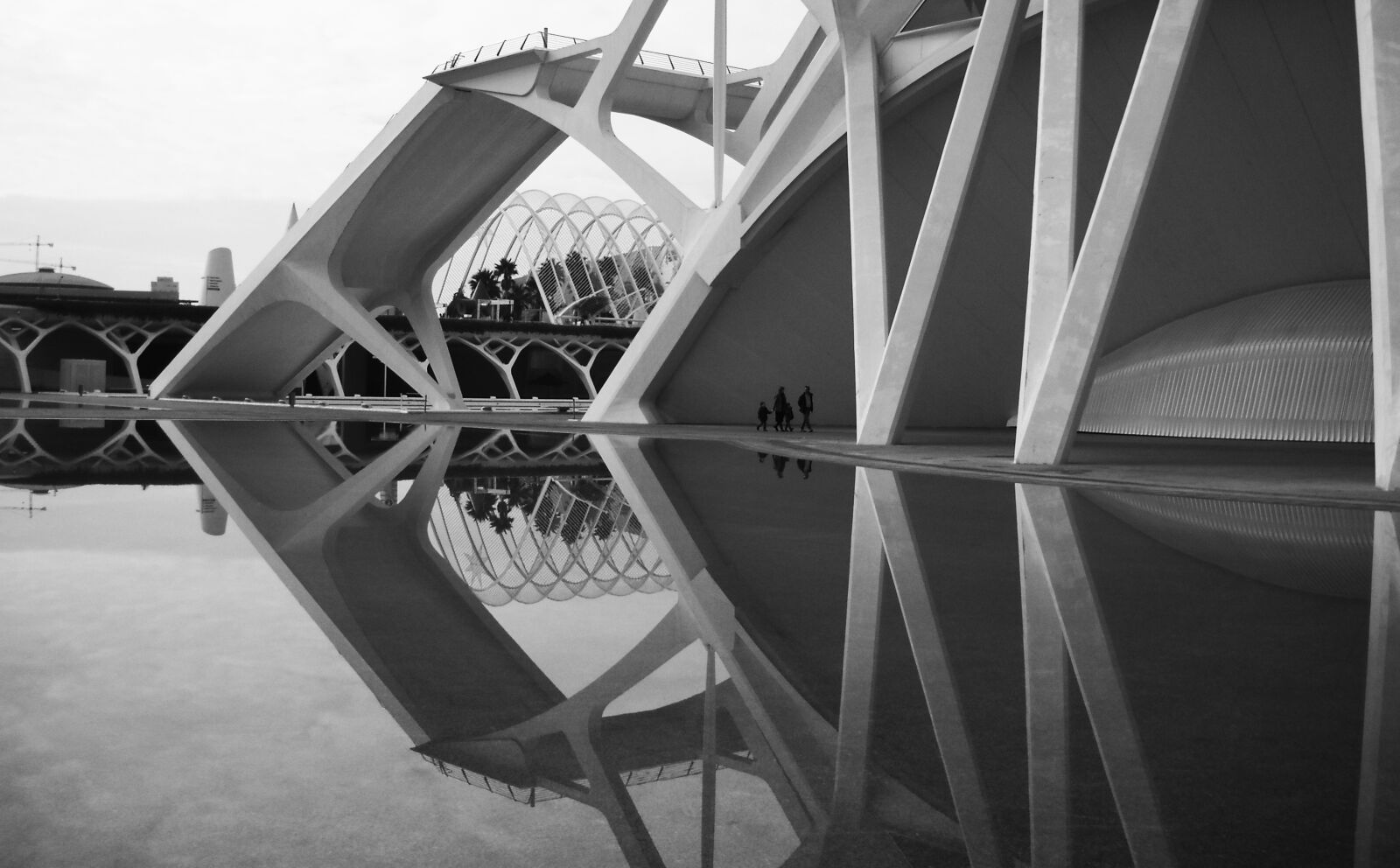Nikon Coolpix L20 sample photo. Valencia, calatrava, architecture photography