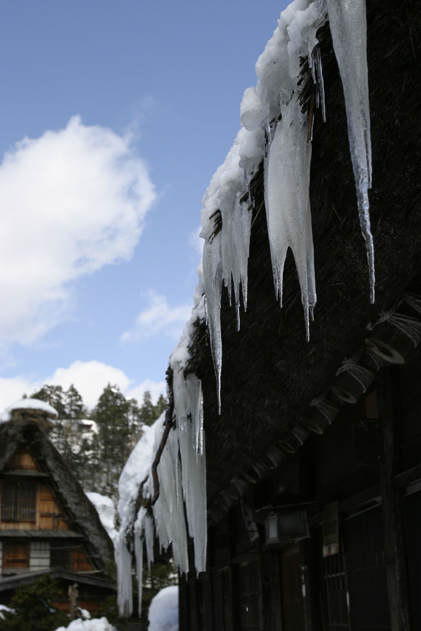 Canon EOS 10D sample photo. 冬, つらら, 雪 photography