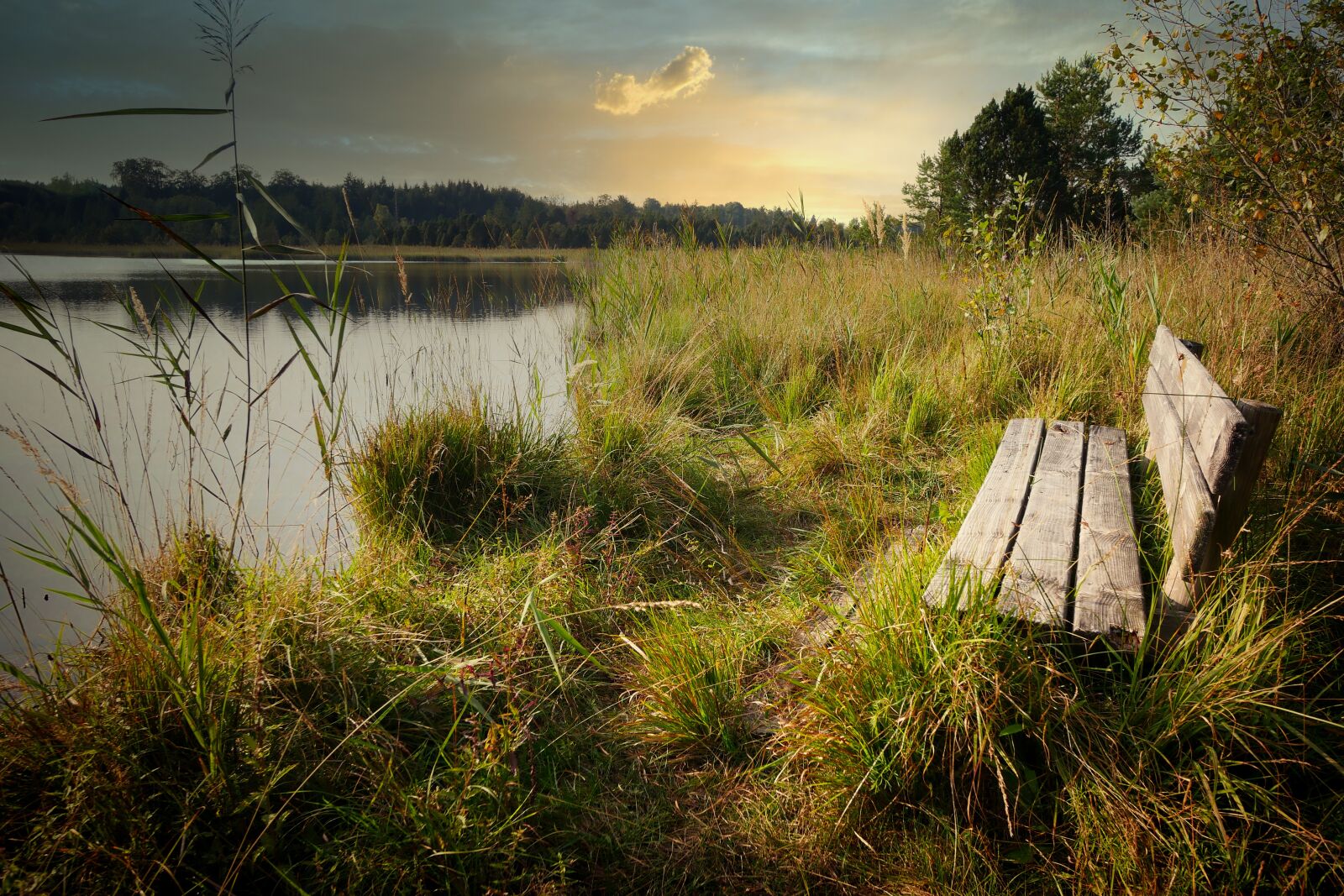 Panasonic Lumix DMC-GX8 sample photo. Bank, lake, outlook photography