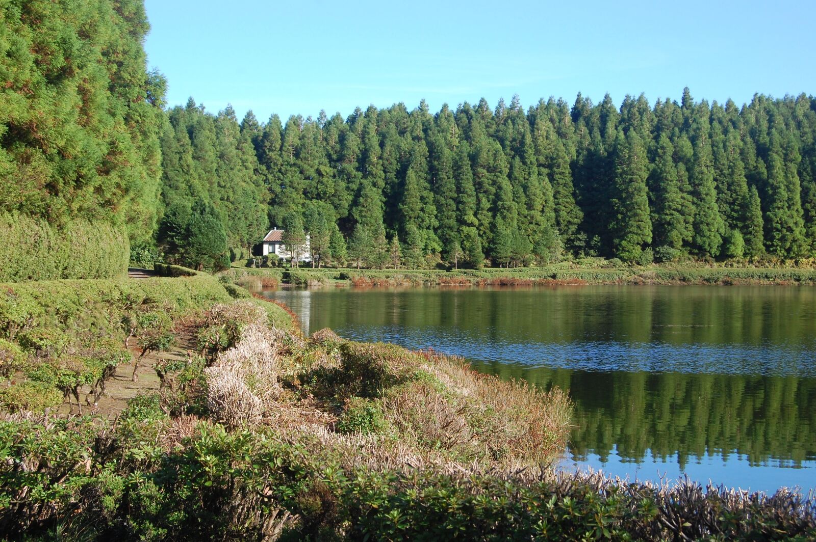 Nikon D40 sample photo. Lagoon, sao miguel, azores photography