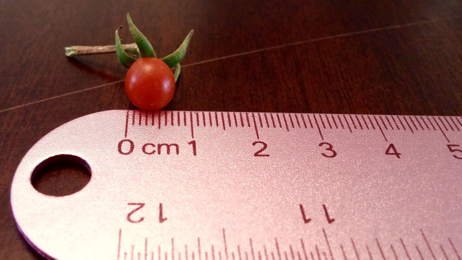 LG G3 sample photo. Tomato, tiny, ruler photography