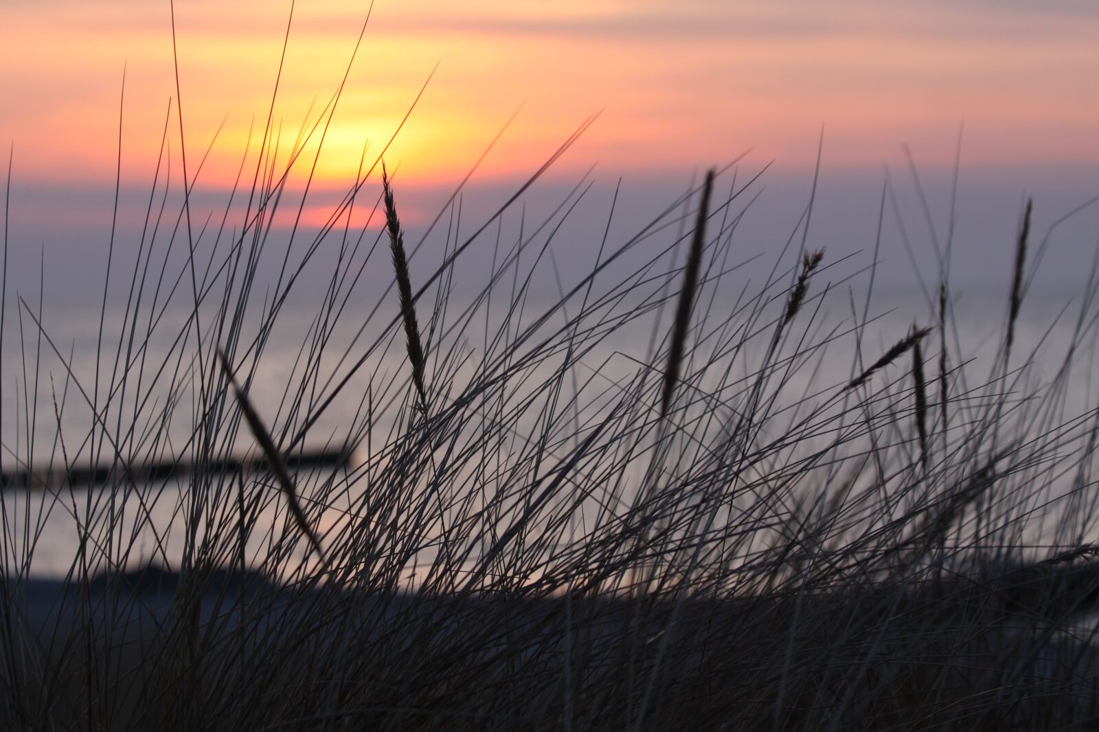Canon EOS 50D sample photo. Dawn, beach, dune photography