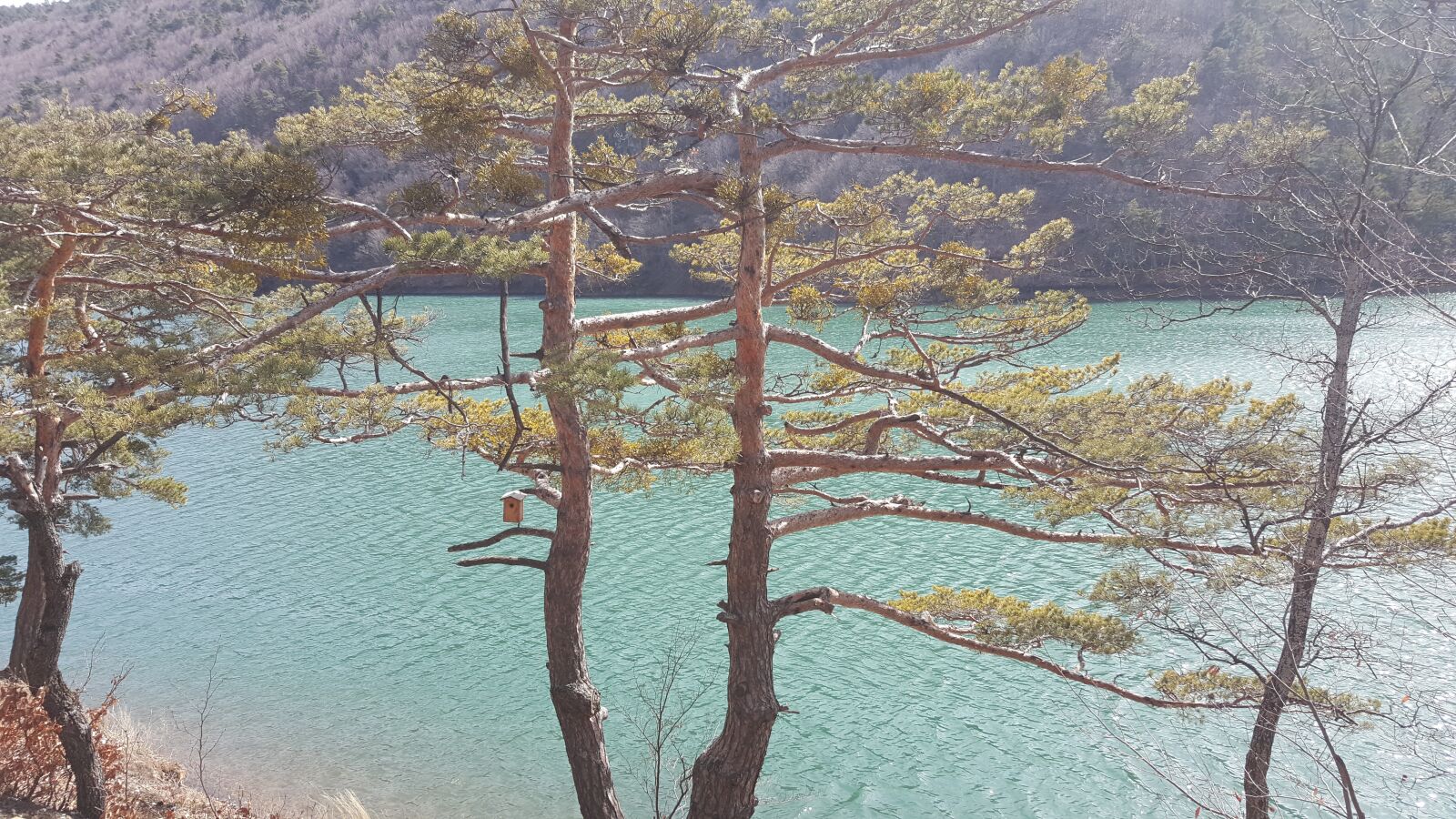 Samsung Galaxy Note5 sample photo. Göl, lake, view photography