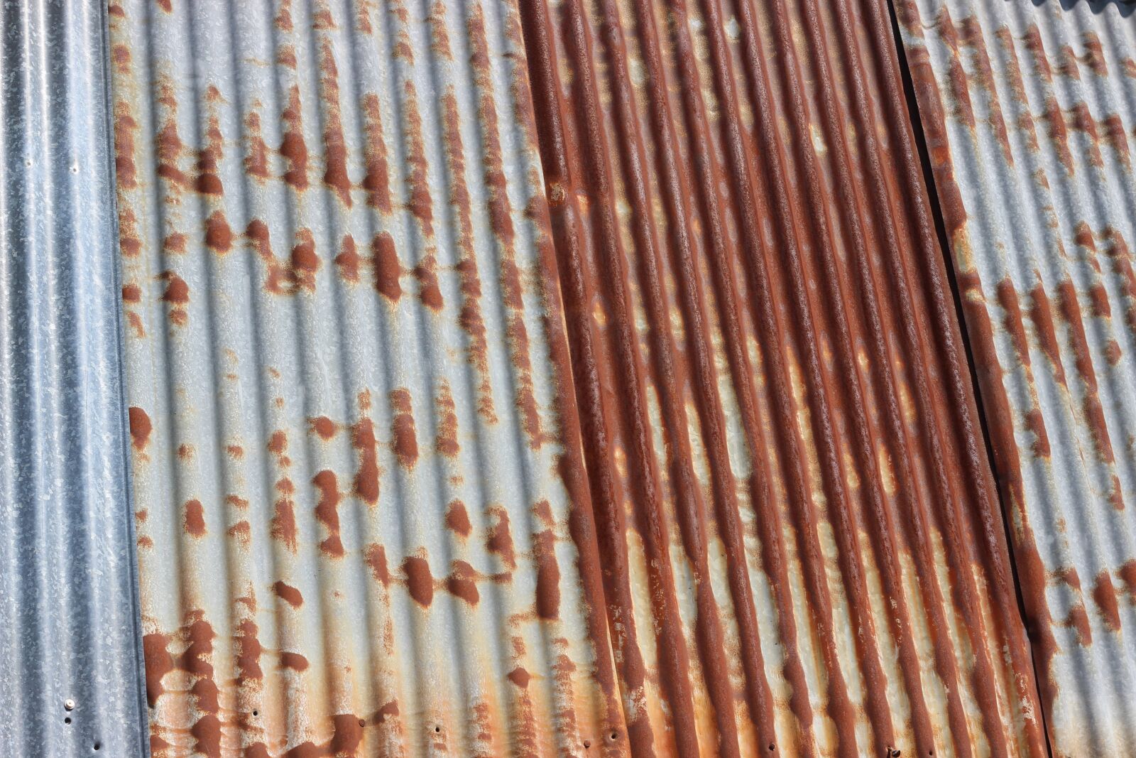 Canon EOS 600D (Rebel EOS T3i / EOS Kiss X5) + Canon EF 50mm F1.8 STM sample photo. Metal, texture, rusty photography