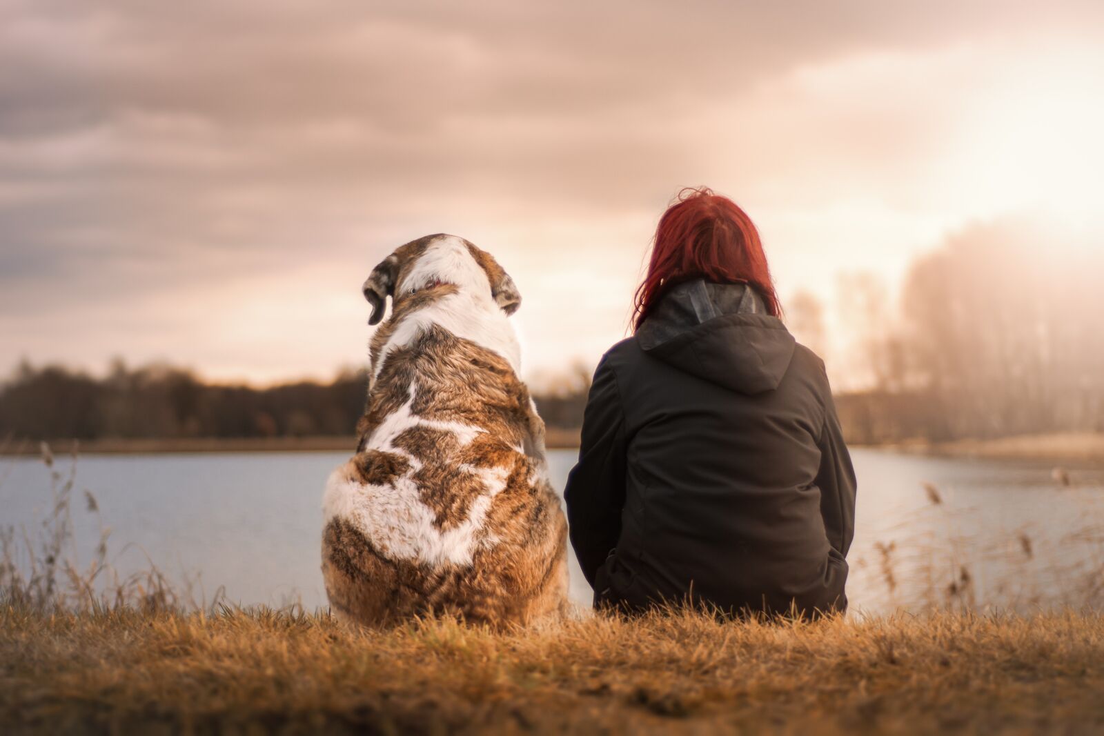 Nikon D7200 sample photo. Friends, dog, pet photography