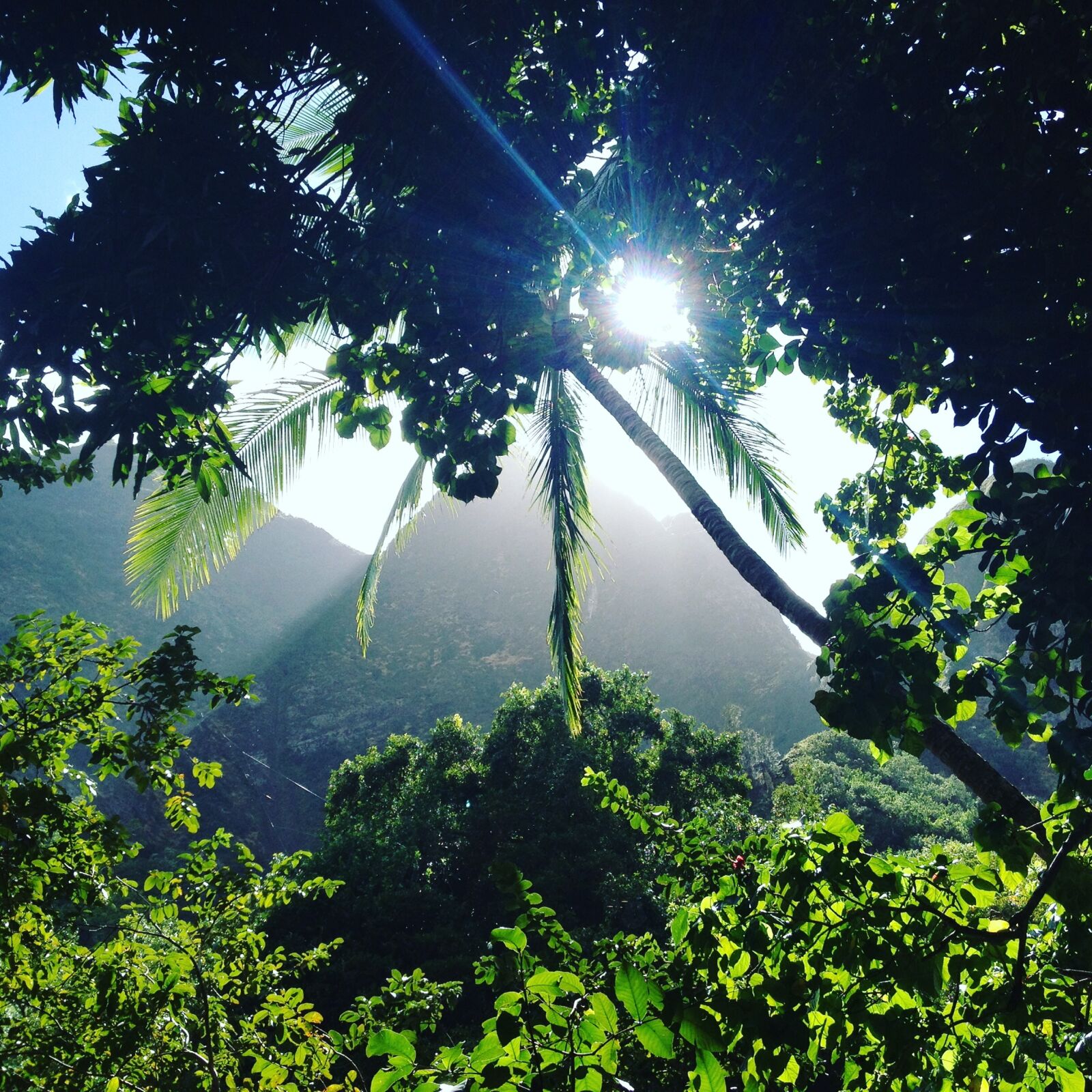 iPhone 4S back camera 4.28mm f/2.4 sample photo. Iao valley, jungle, forest photography