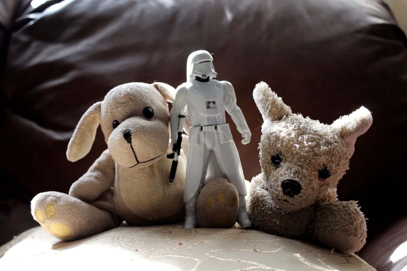 Canon EOS 1200D (EOS Rebel T5 / EOS Kiss X70 / EOS Hi) sample photo. Game, toys, dogs photography