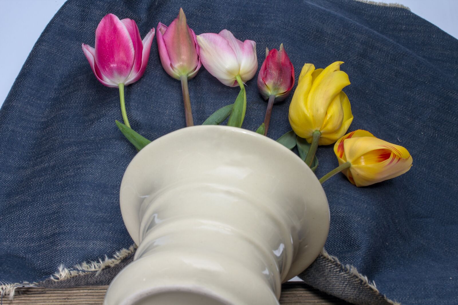 Canon EF-S 60mm F2.8 Macro USM sample photo. Still life, composition, flowers photography