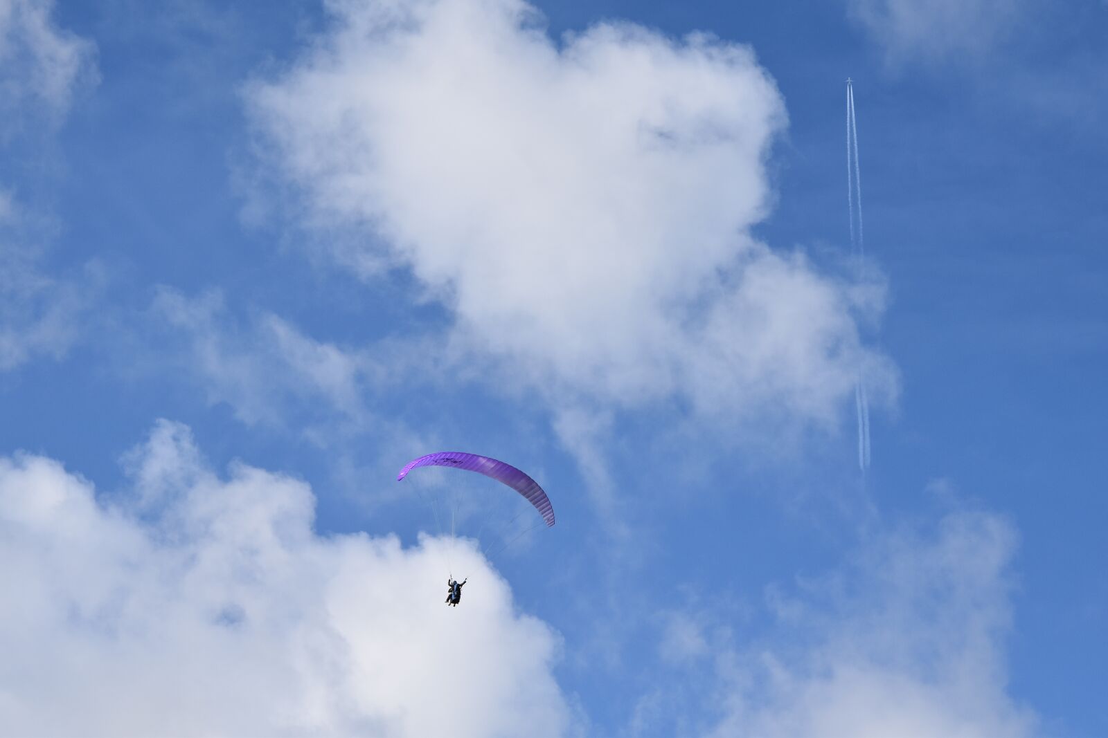 Nikon D5600 sample photo. Paragliding, paraglider, free flight photography