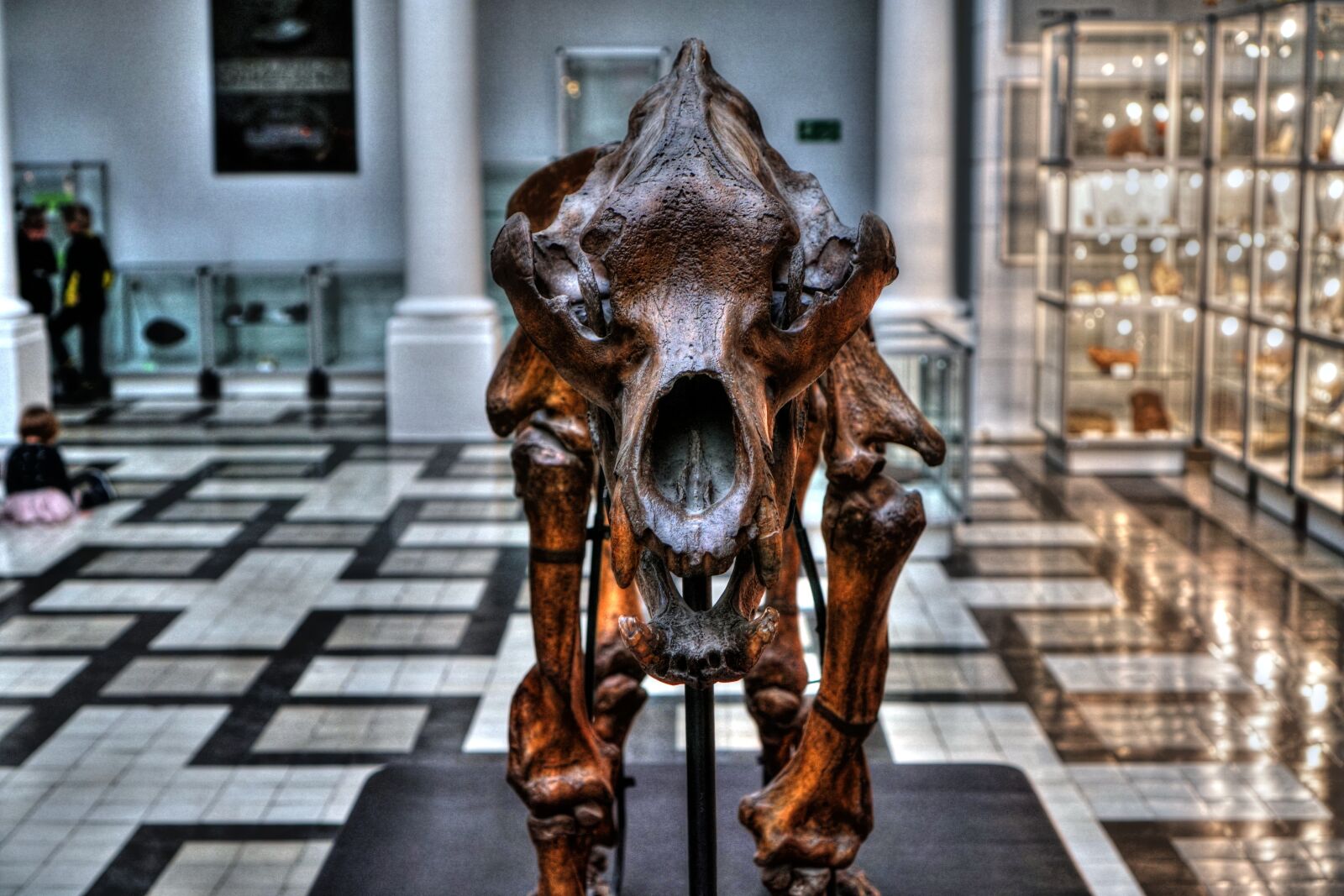 Sony a6000 sample photo. The museum, geology, skeleton photography