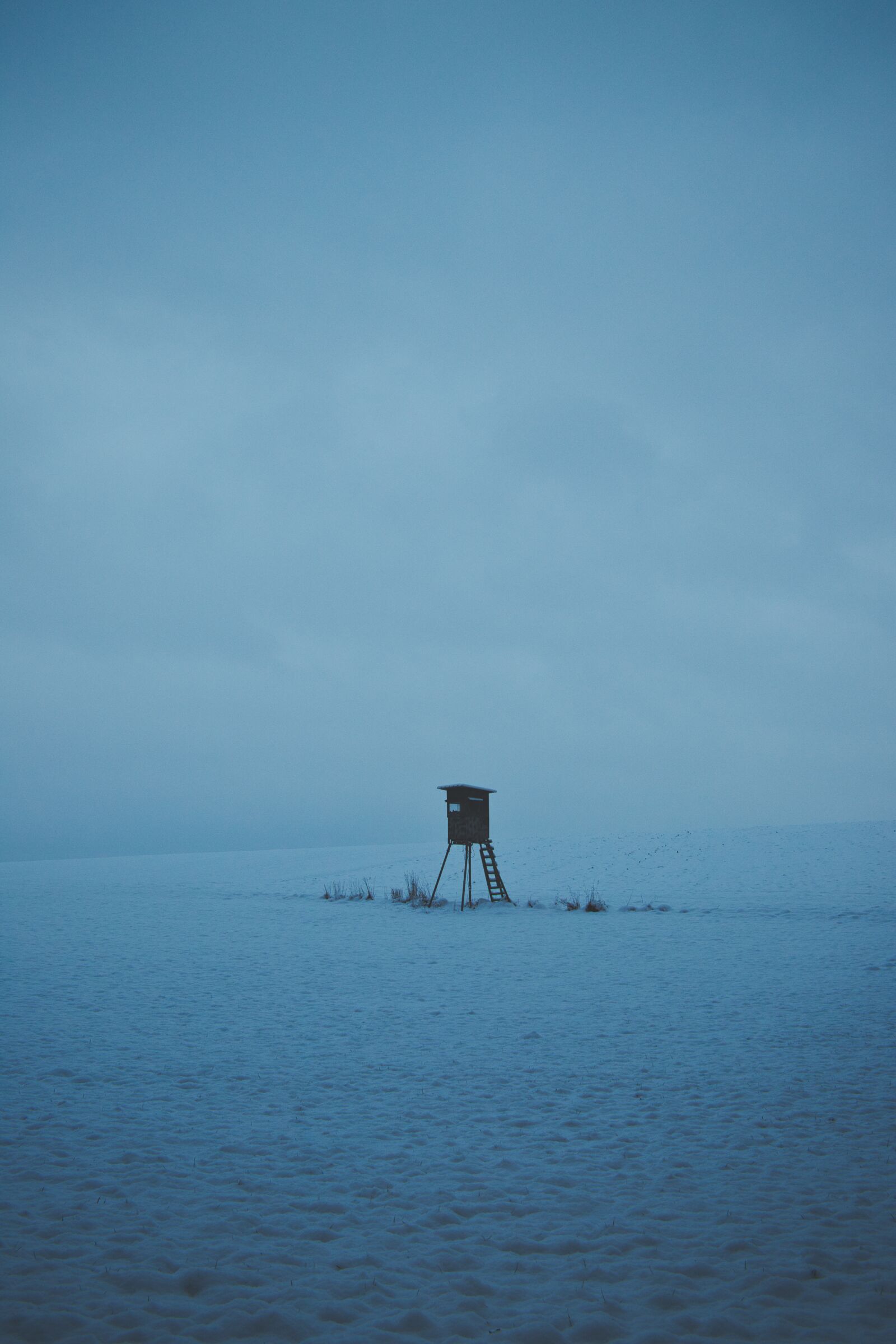 Canon EF-S 24mm F2.8 STM sample photo. Delight, winter, perch photography