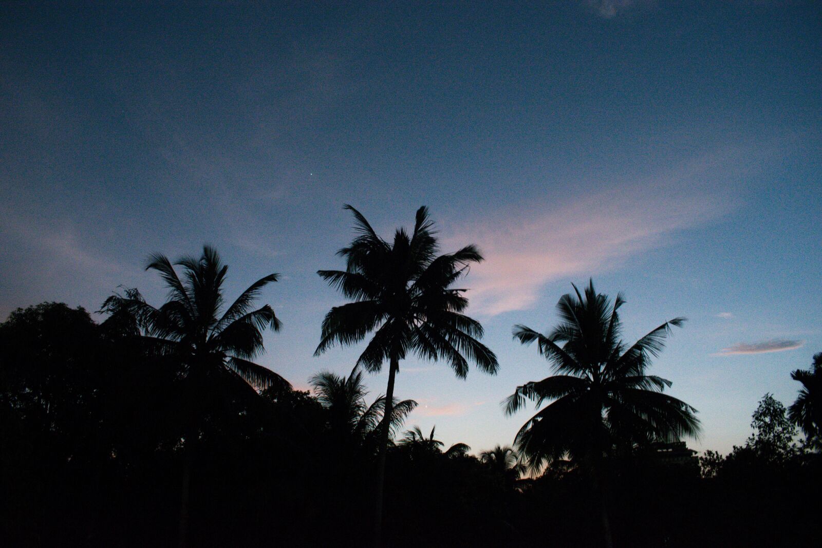 Nikon D3300 sample photo. Sunset, dark sky, night photography