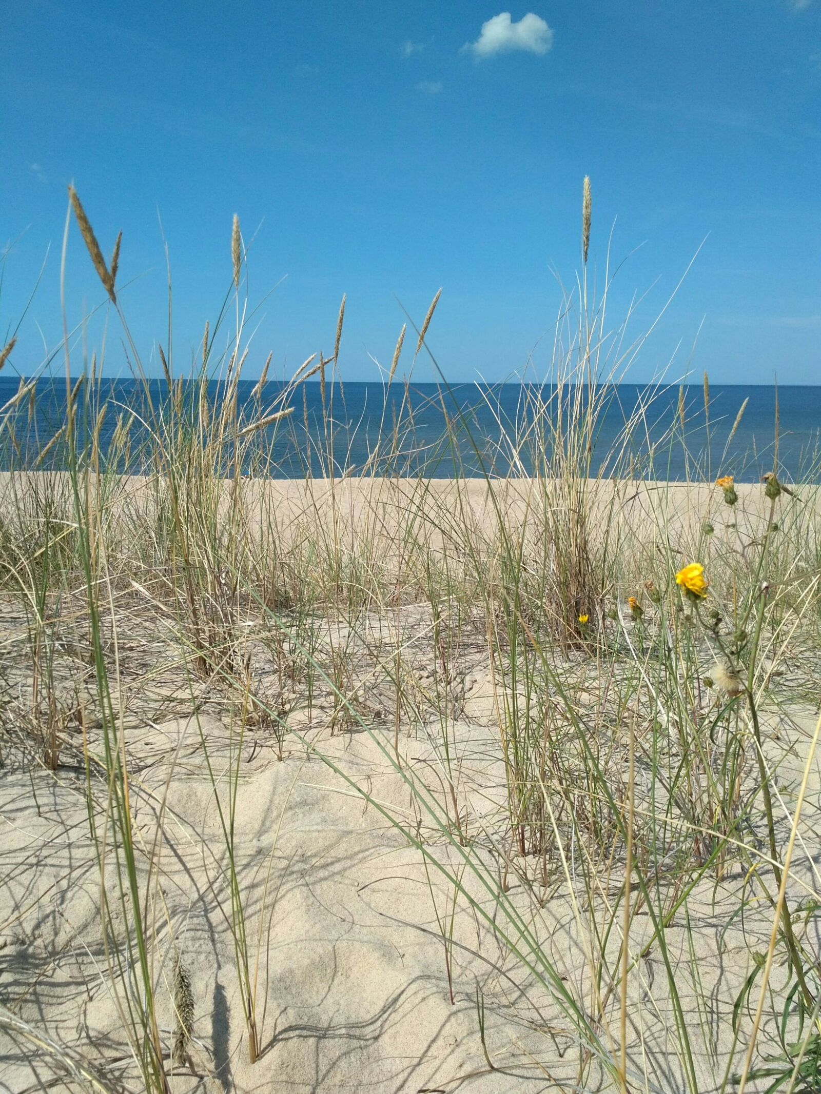 Xiaomi Redmi 3X sample photo. Sea, dunes, summer photography