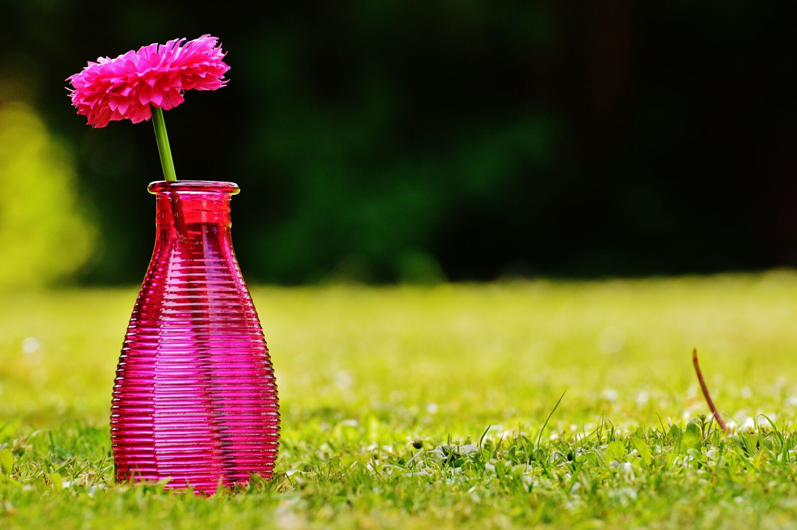 Nikon D3200 sample photo. Vase, glass, flower photography