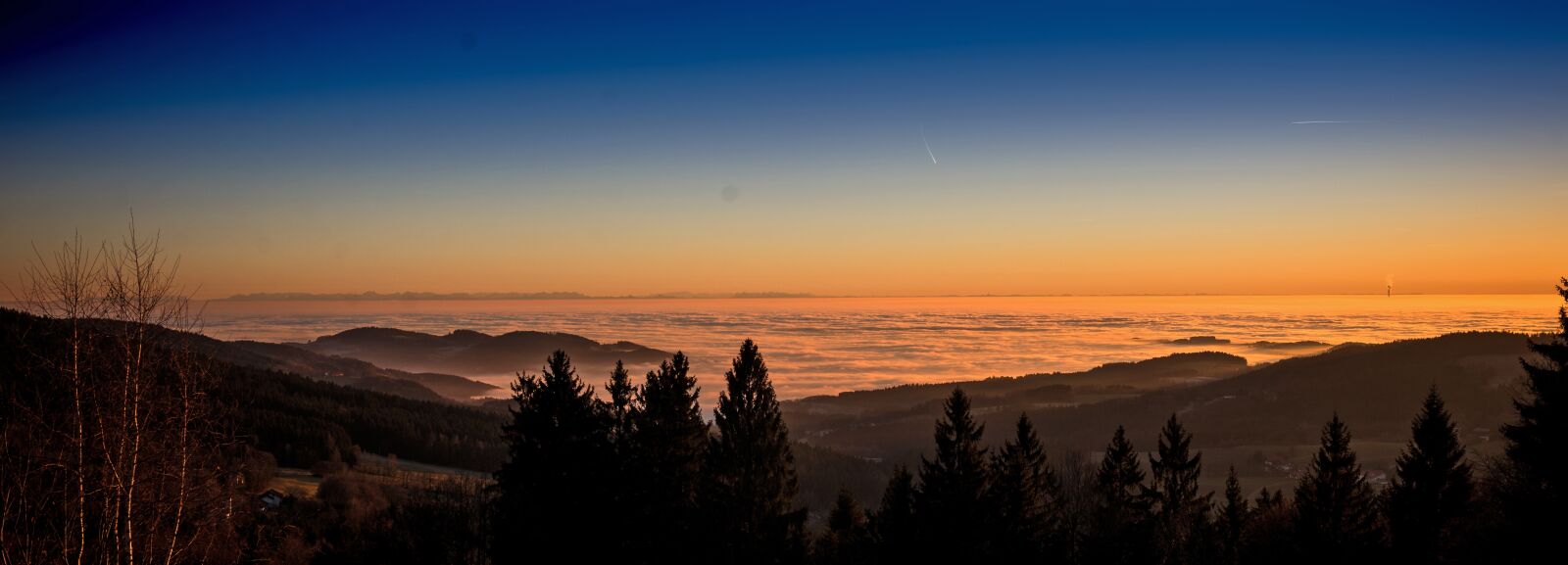 Nikon D610 sample photo. Sunset, fog, mood photography