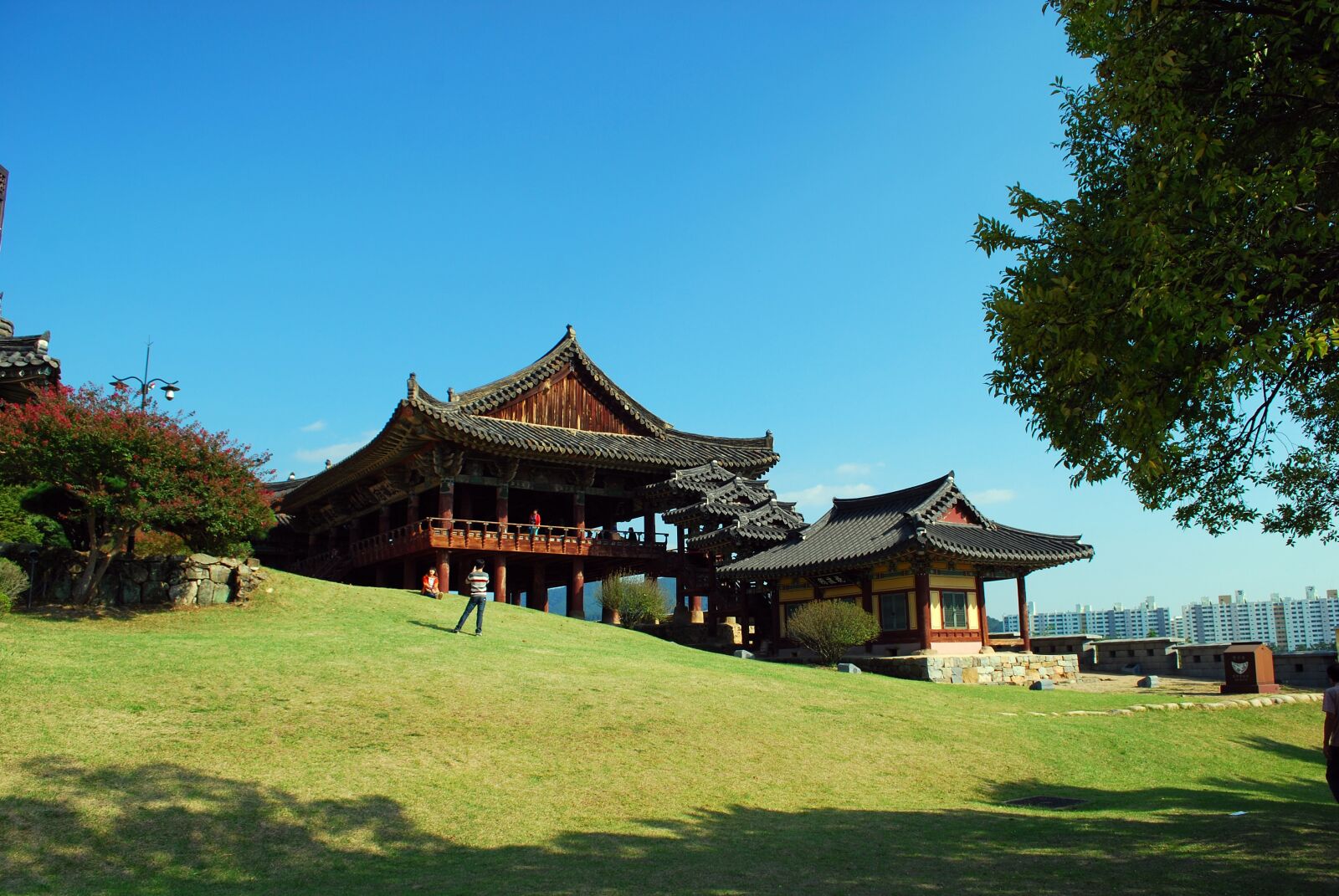 Nikon D60 sample photo. Roof tile, traditional houses photography