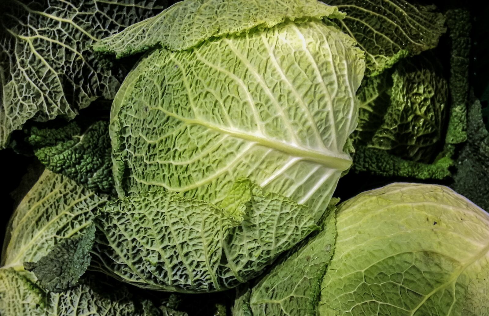 HUAWEI SNE-LX1 sample photo. Savoy, kohl, vegetables photography