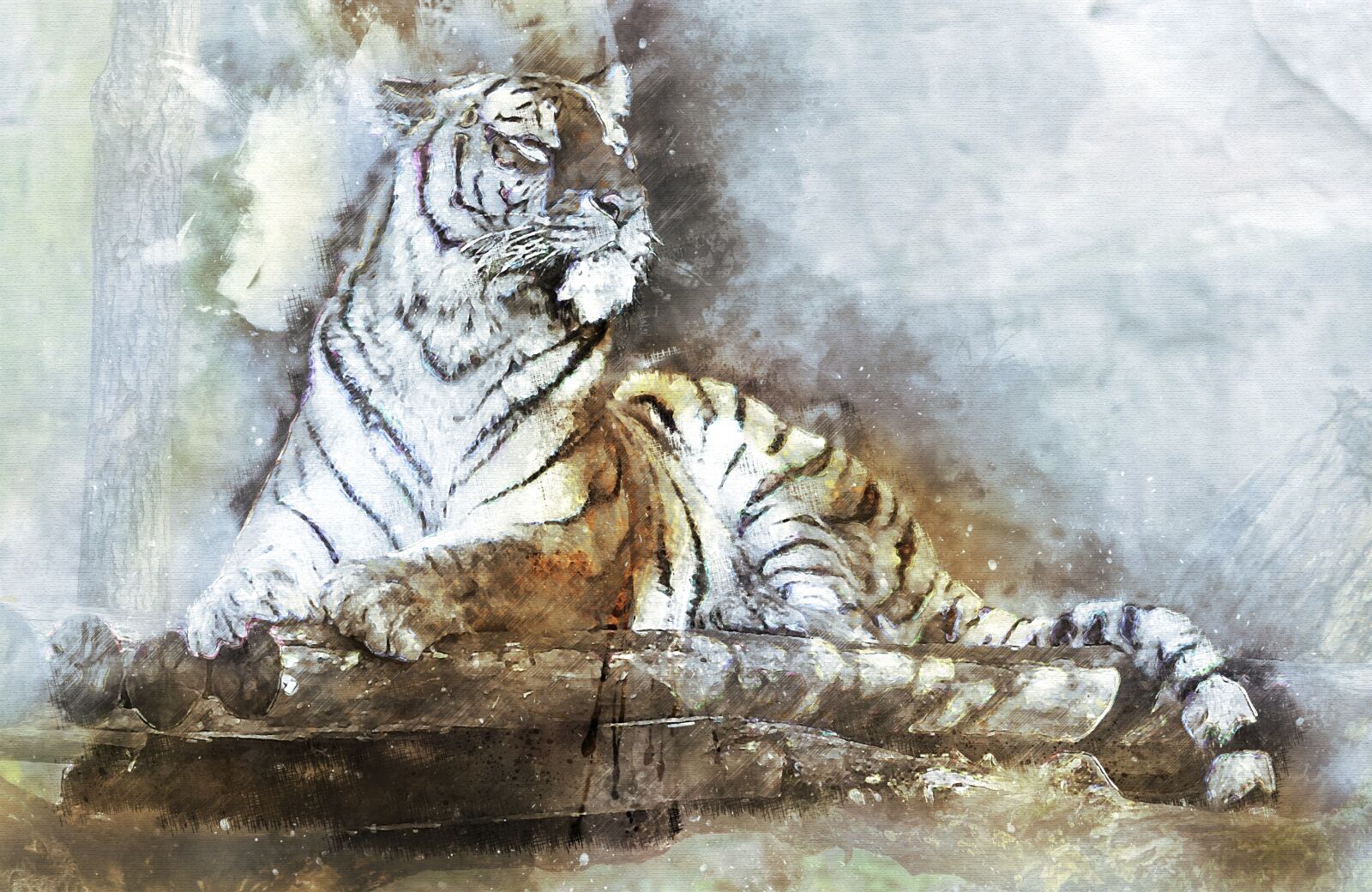 Panasonic DMC-G70 sample photo. Animal, tiger, predator photography