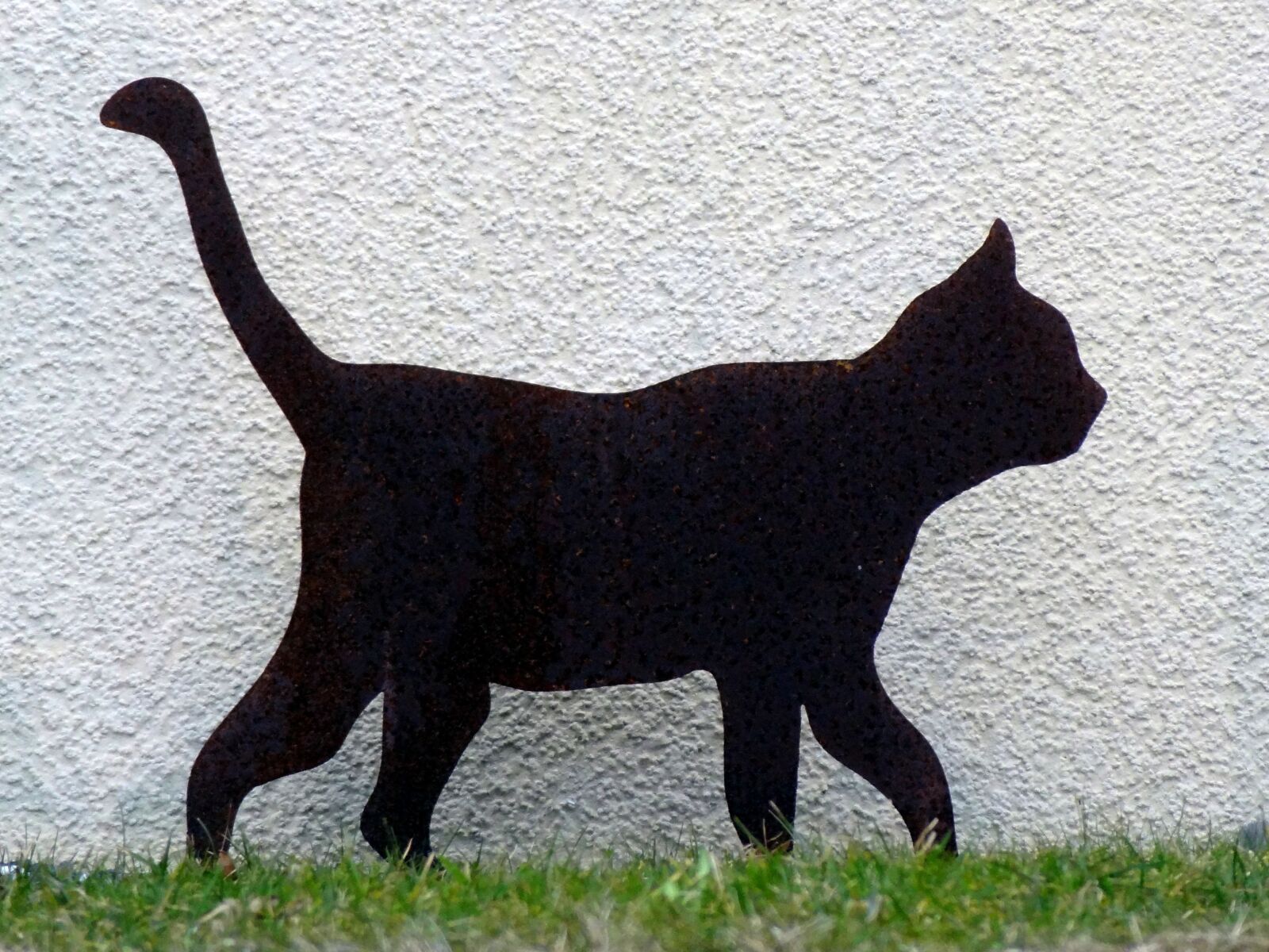 Sony Cyber-shot DSC-HX9V sample photo. Cat, silhouette, pet photography