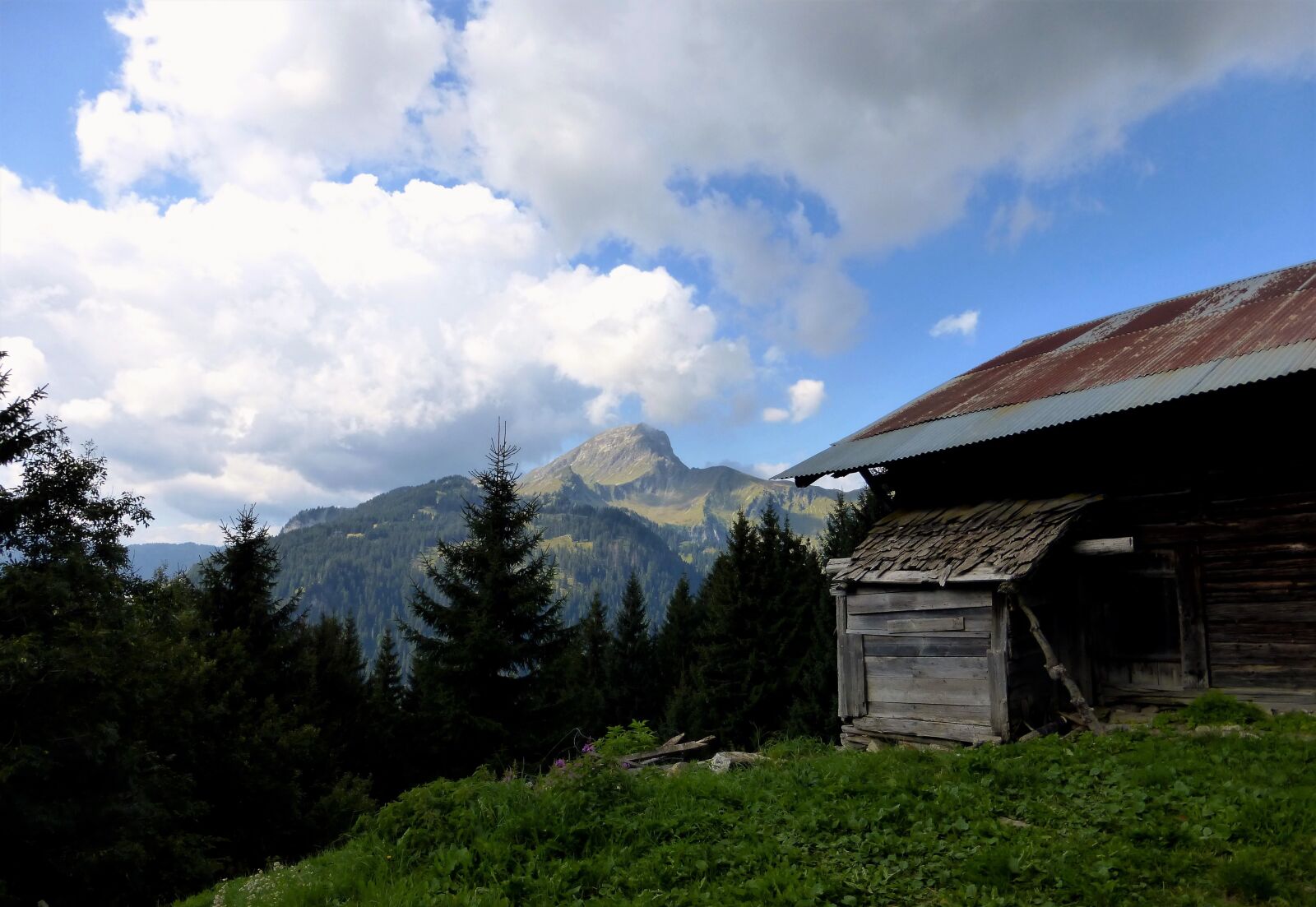 Panasonic Lumix DMC-ZS25 (Lumix DMC-TZ35) sample photo. Nature, france, alps photography