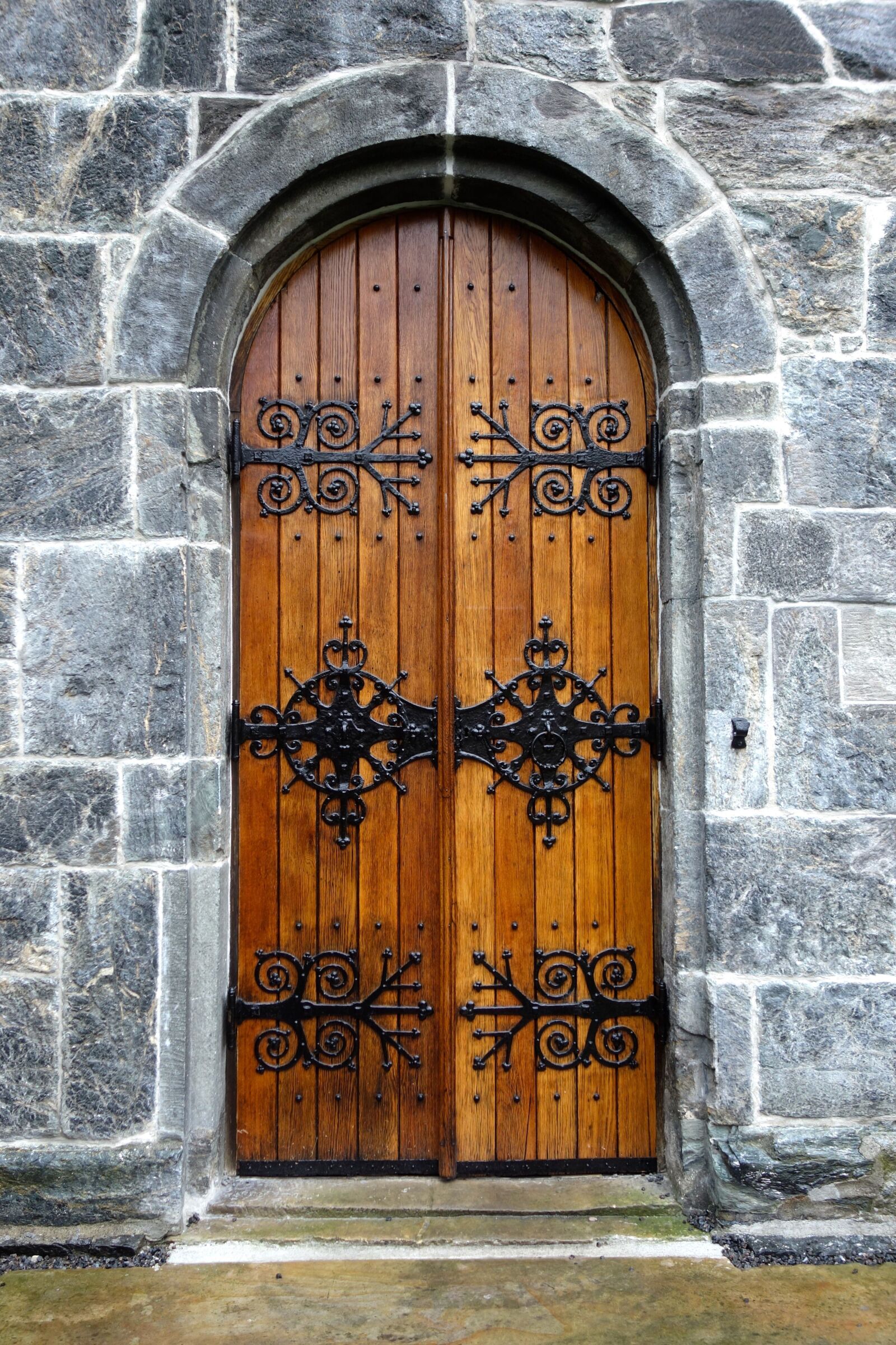 Sony Cyber-shot DSC-RX100 sample photo. Door, old door, house photography