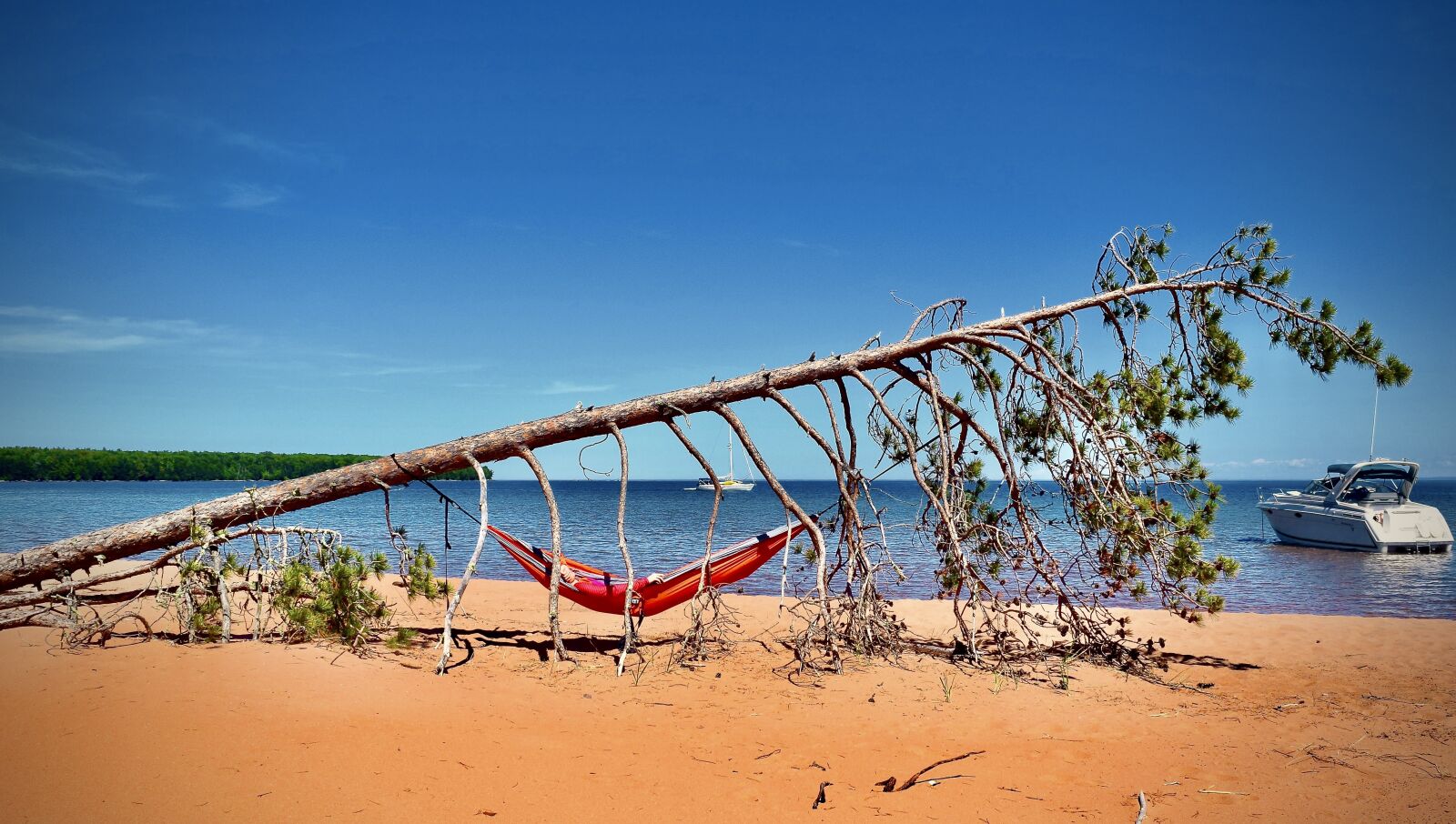Nikon D5300 sample photo. Beach, hammock, tree photography