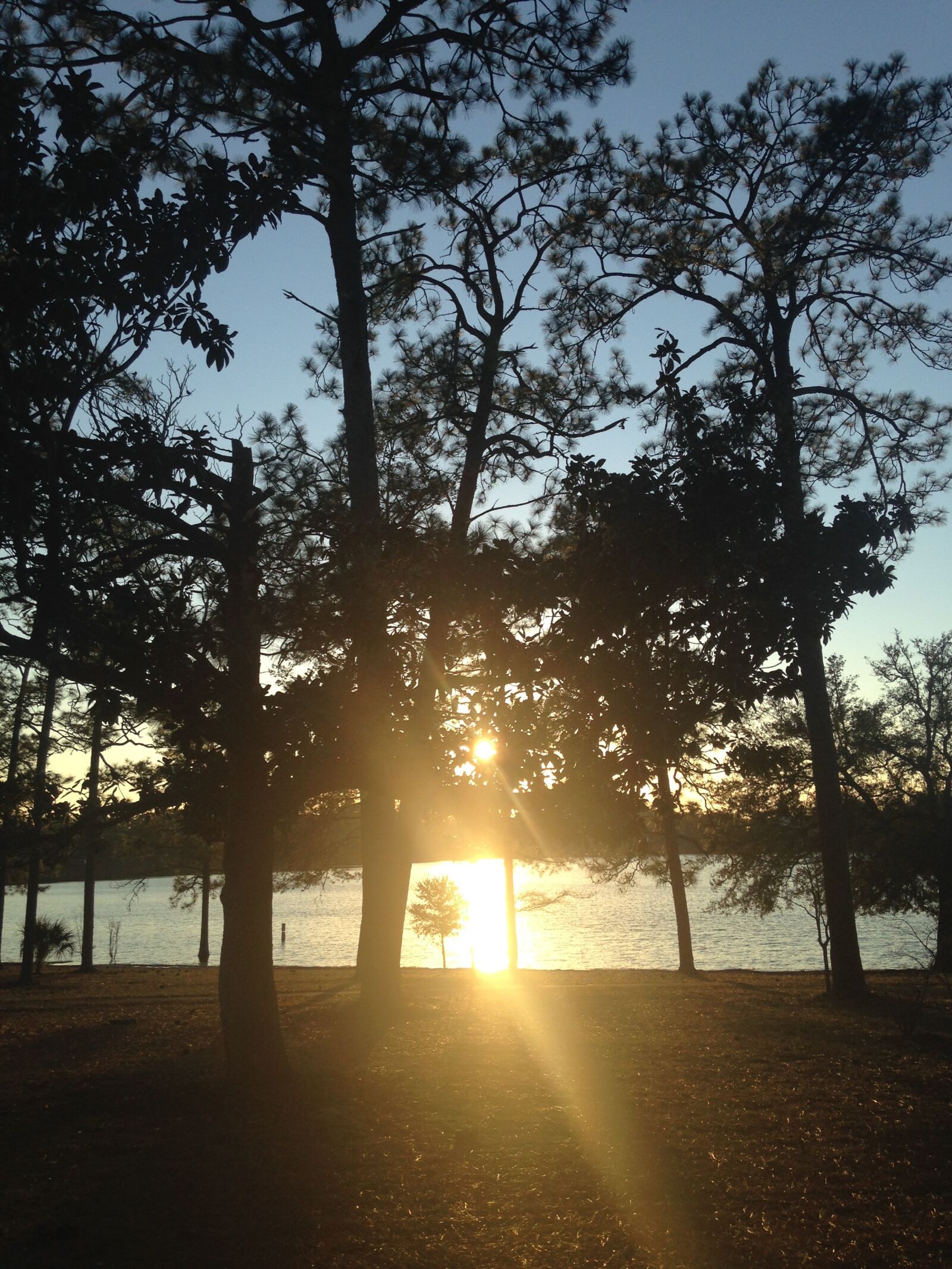 iPhone 5c back camera 4.12mm f/2.4 sample photo. Lake, sunset, florida photography