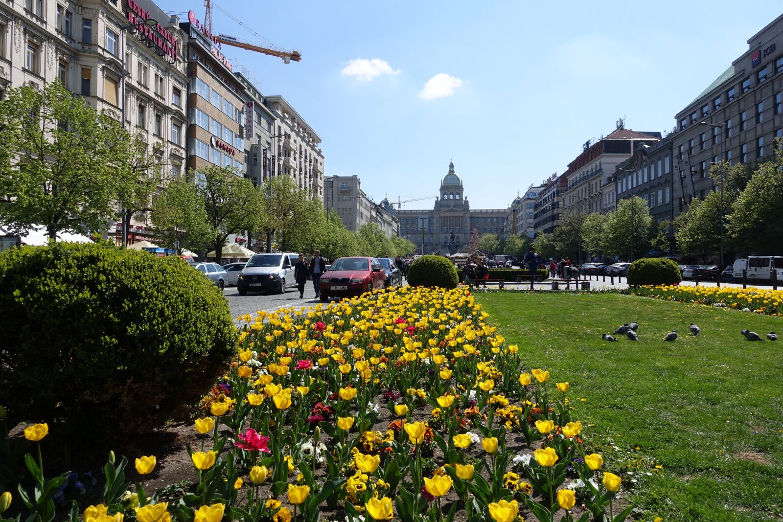 Sony Cyber-shot DSC-RX100 IV sample photo. Flowers, prag, city photography