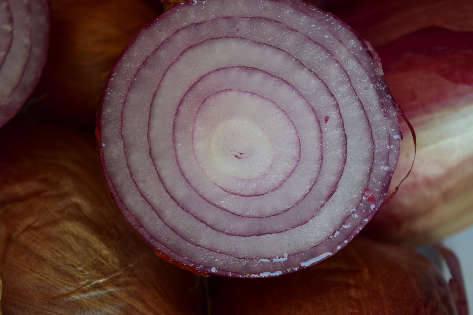 Nikon D3300 sample photo. Onion, onion rings, fresh photography