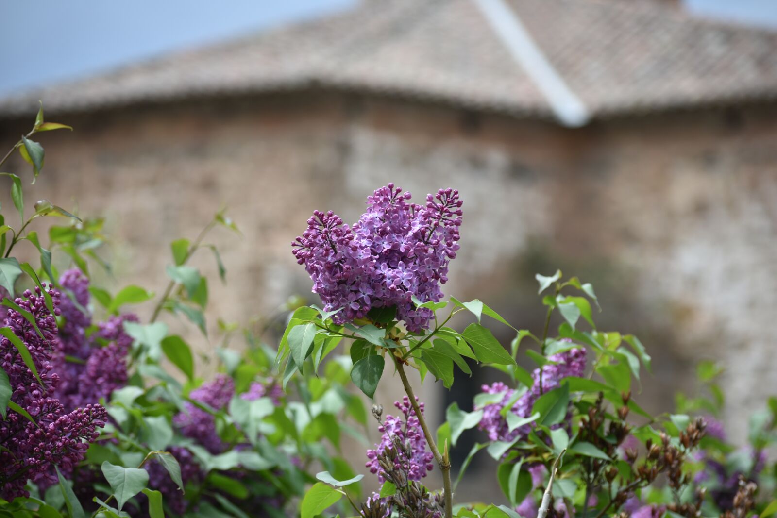 Nikon D3400 sample photo. Spain, la rioja, arnedillos photography