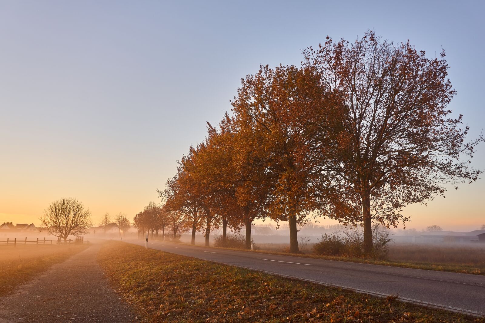 Sony a6000 + Sony E PZ 16-50 mm F3.5-5.6 OSS (SELP1650) sample photo. Road, fog, trees photography