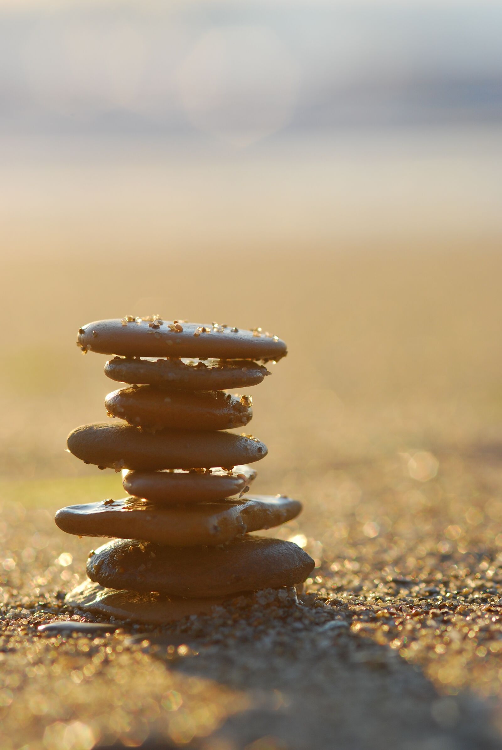 Nikon D80 sample photo. Sea, stone, beach photography
