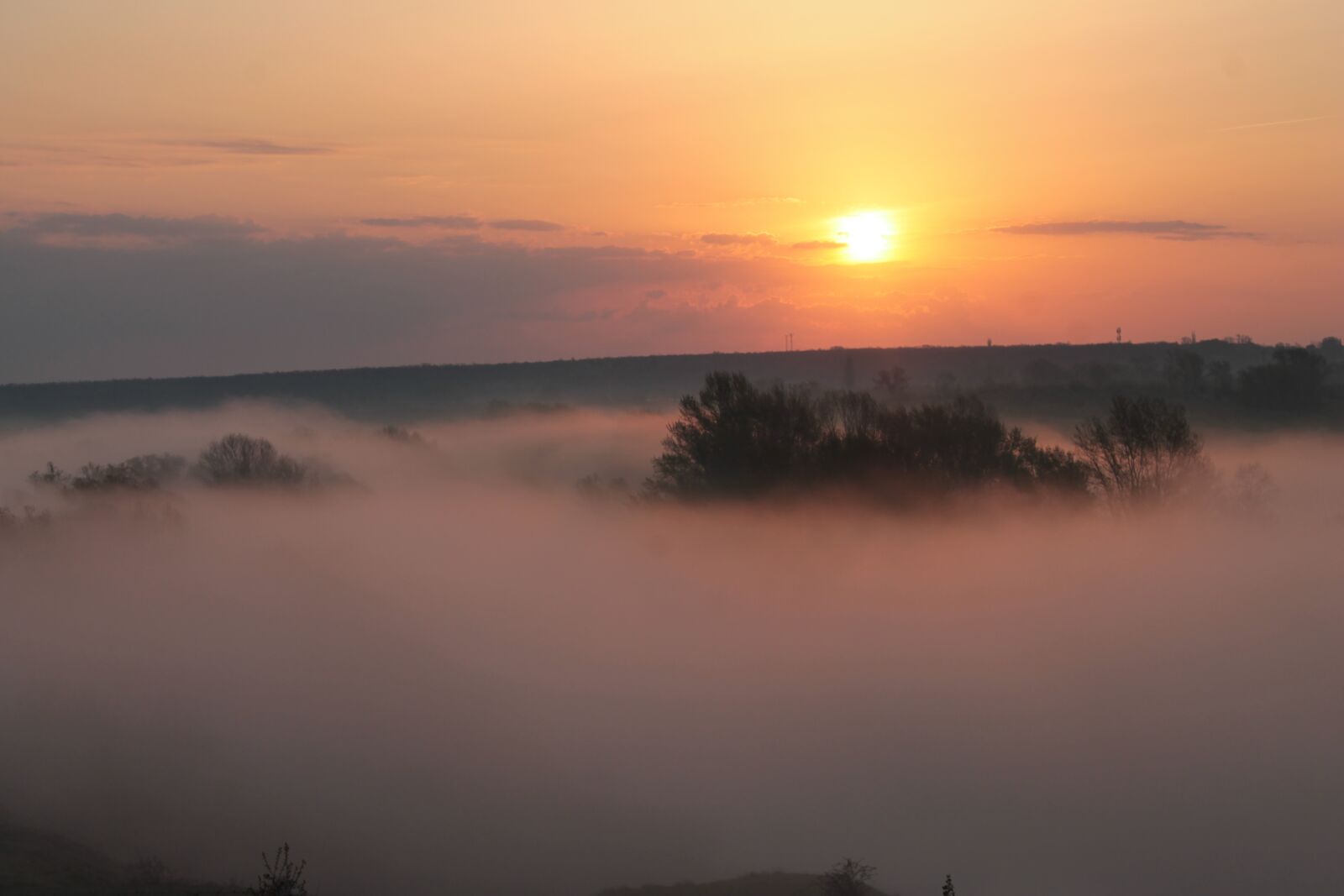 Canon EOS 1100D (EOS Rebel T3 / EOS Kiss X50) sample photo. Morning, dawn, fog photography