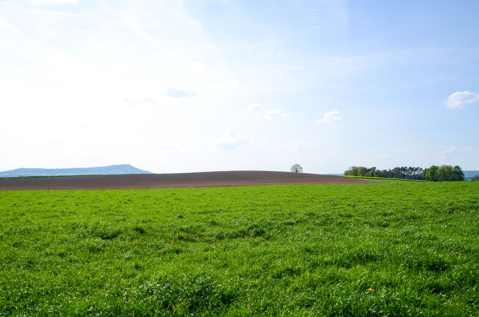 Nikon D7000 sample photo. Landscape, panorama, field photography