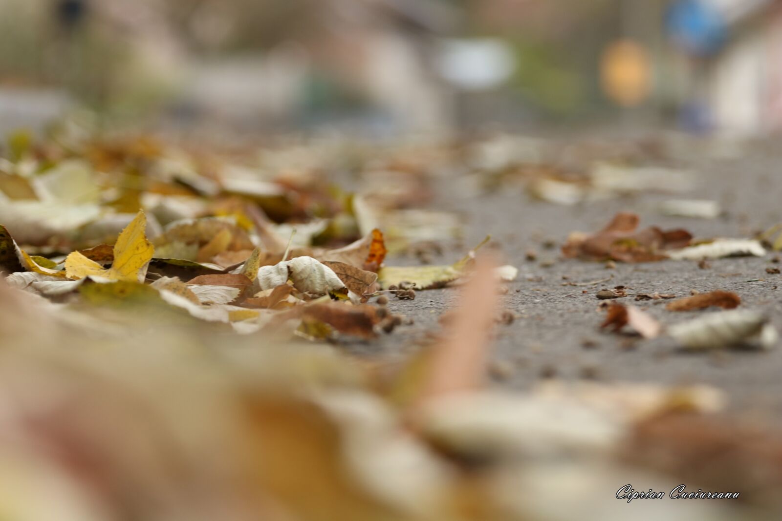 Canon EF 70-200mm F4L USM sample photo. Autumn, resita, romania photography