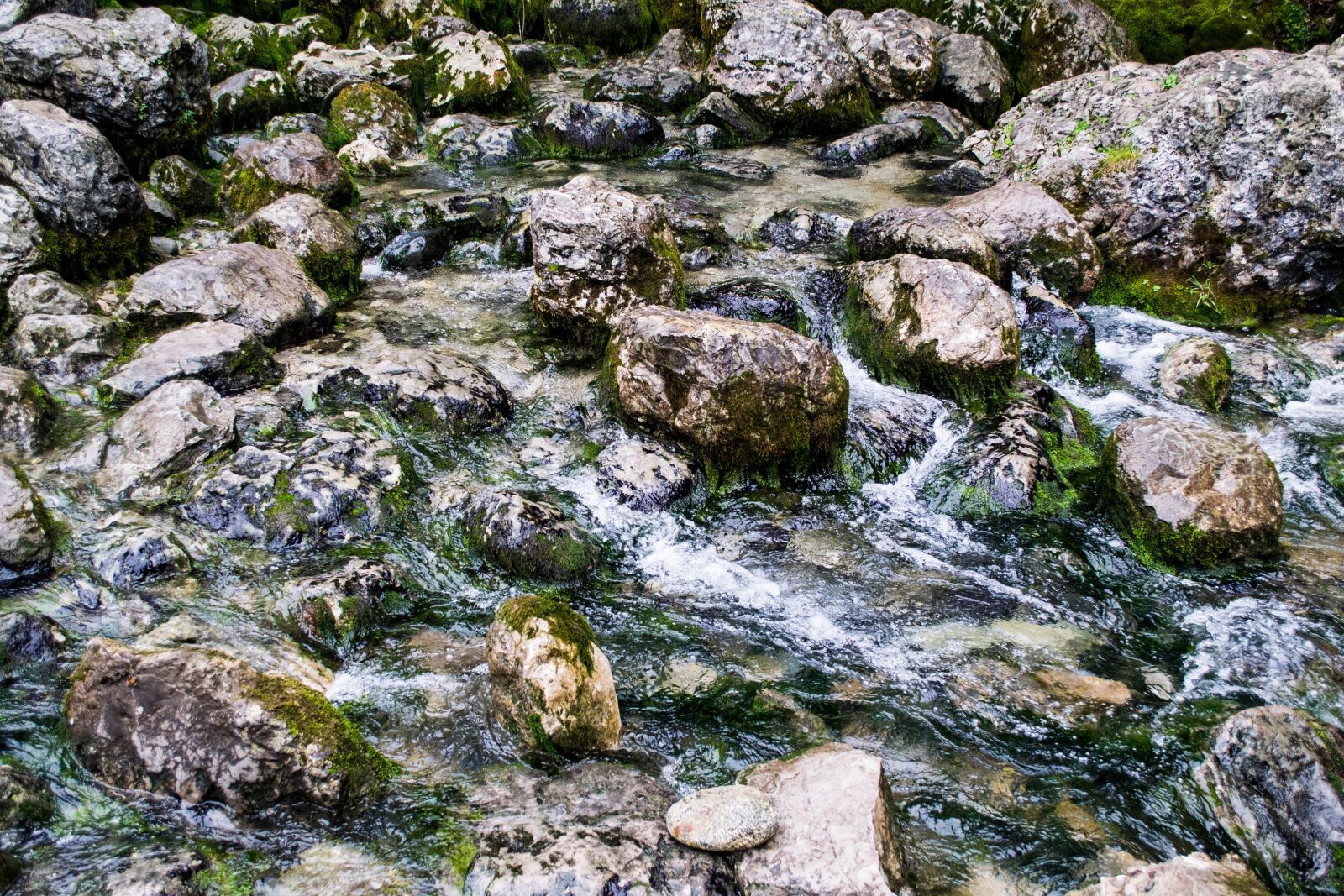 Nikon D3100 sample photo. Stones, water, creek photography