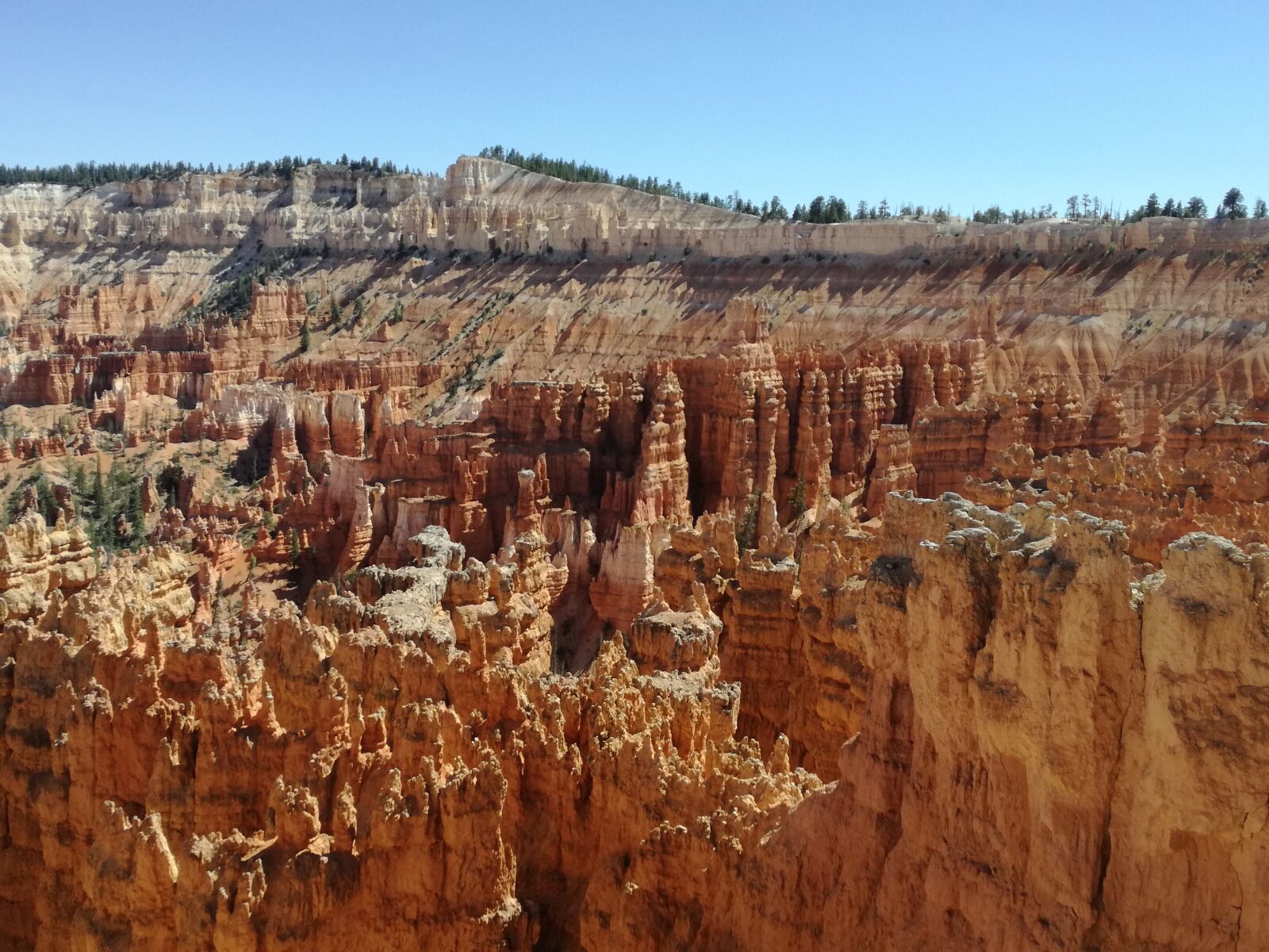 HUAWEI P9 LITE sample photo. Bryce canyon, usa, landscape photography