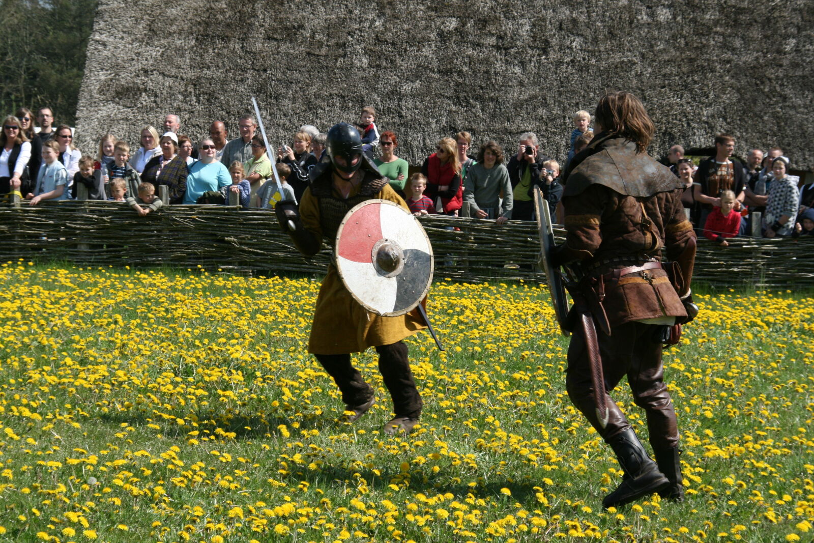 Sigma 18-200mm f/3.5-6.3 DC OS sample photo. Vikings photography