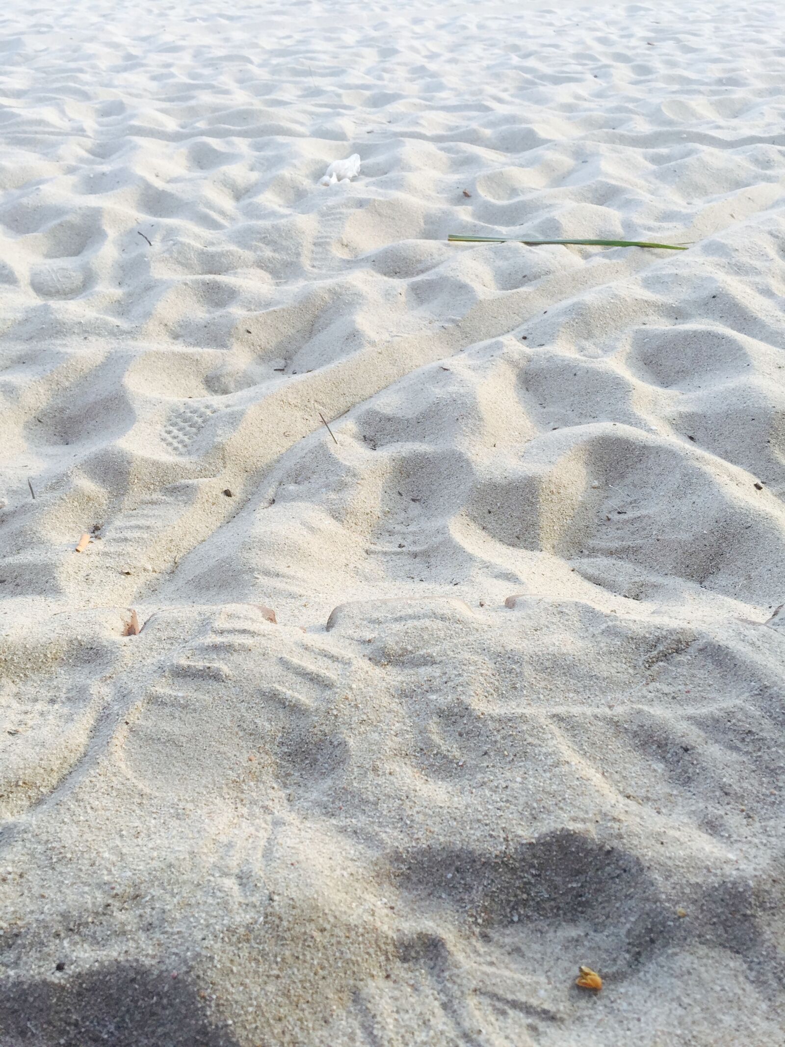 iPhone 6 Plus back camera 4.15mm f/2.2 sample photo. Beach, sand, white sands photography