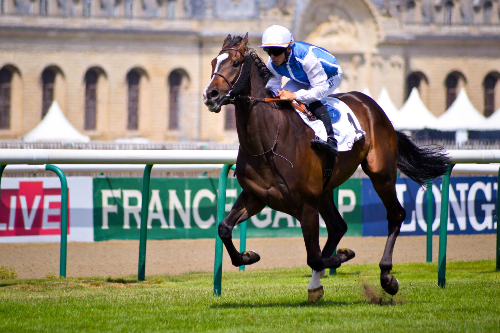 Nikon D3200 sample photo. Jockey, contest, horse photography