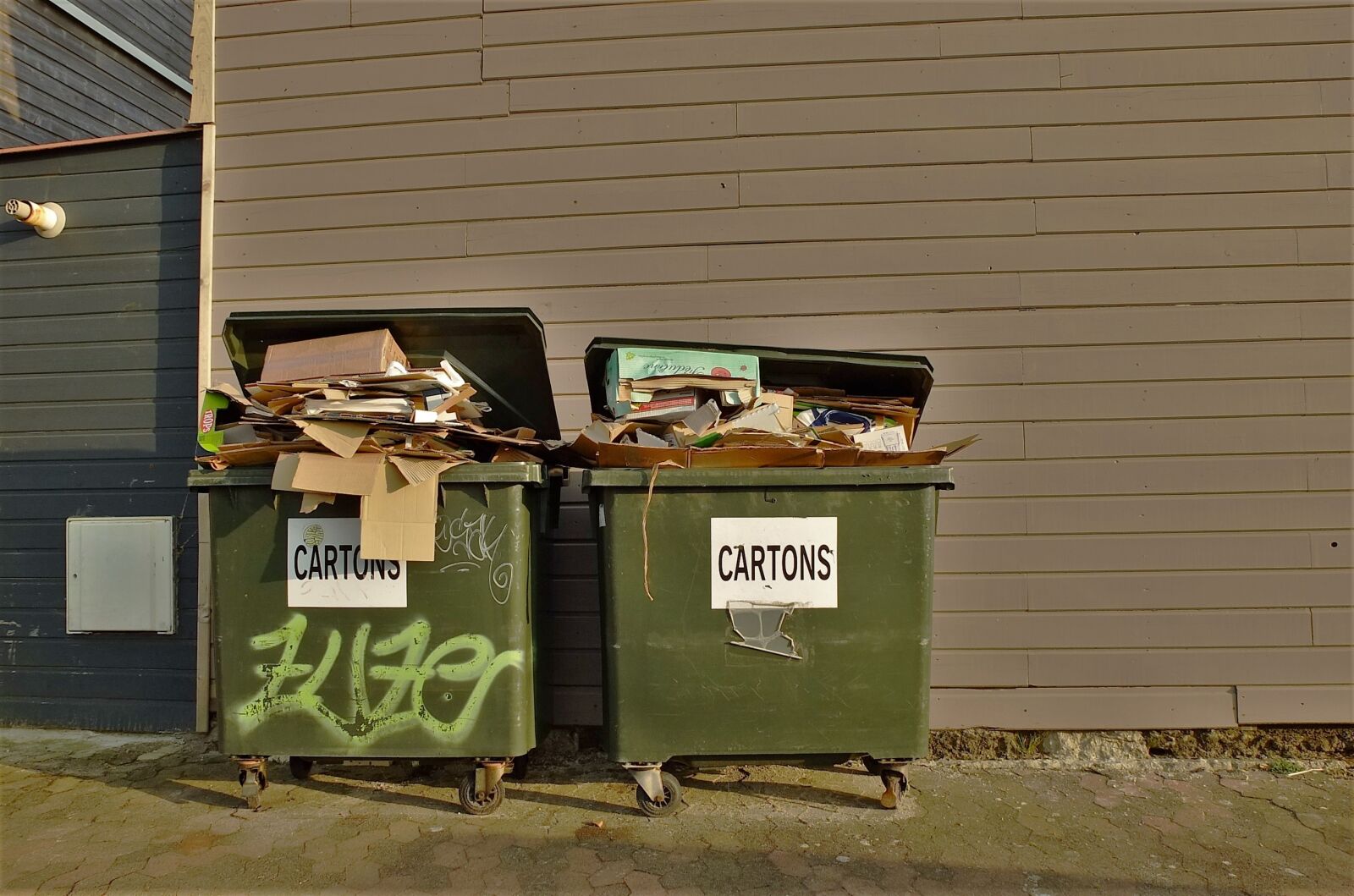 Fujifilm X10 sample photo. Dustbin, garbage, waste photography