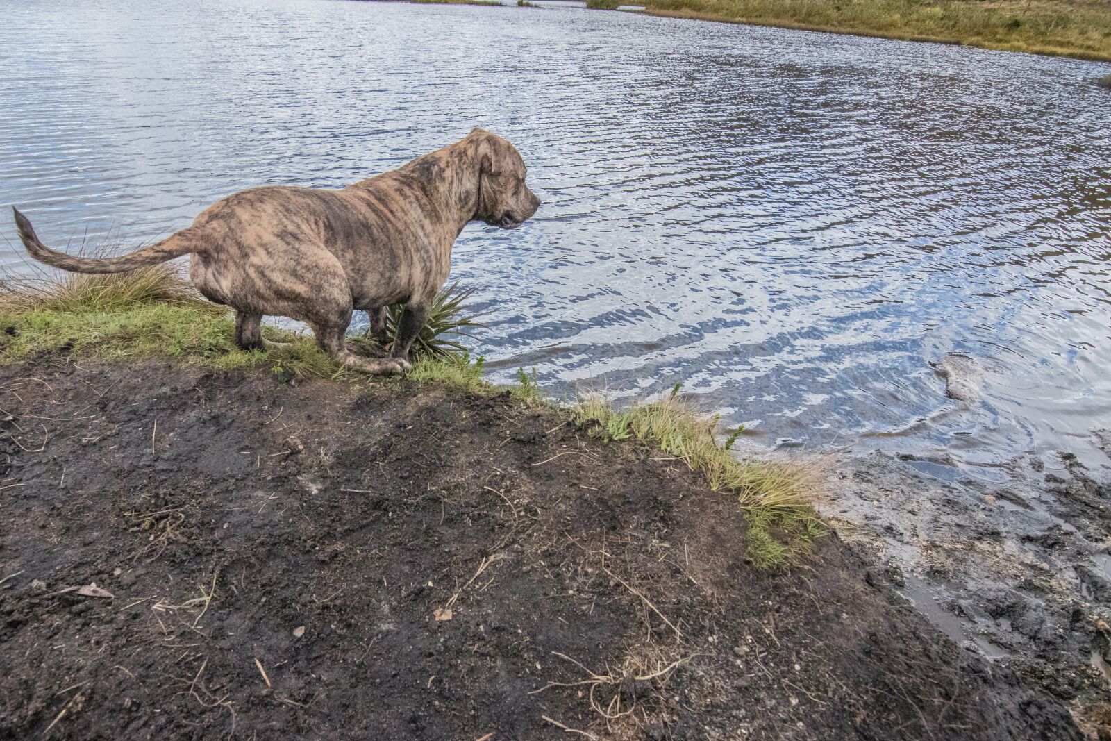 Nikon D5600 sample photo. Kill round, paramo, lake photography