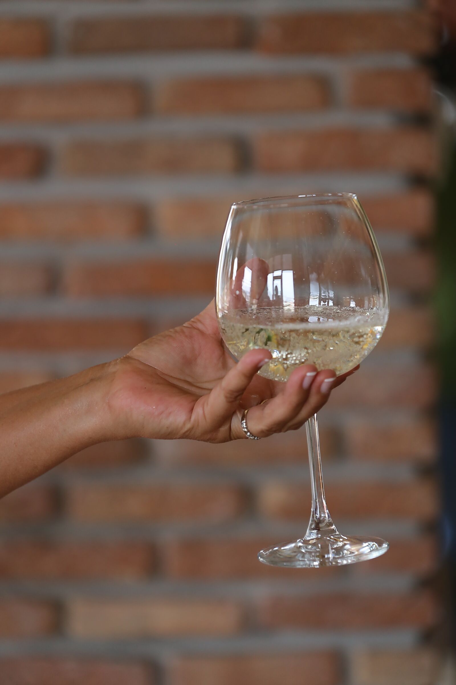 Canon EOS 6D sample photo. White wine, champagne, glass photography