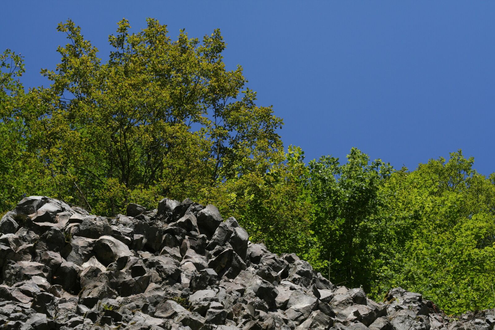 Canon EOS 350D (EOS Digital Rebel XT / EOS Kiss Digital N) sample photo. Stones, trees, sky photography
