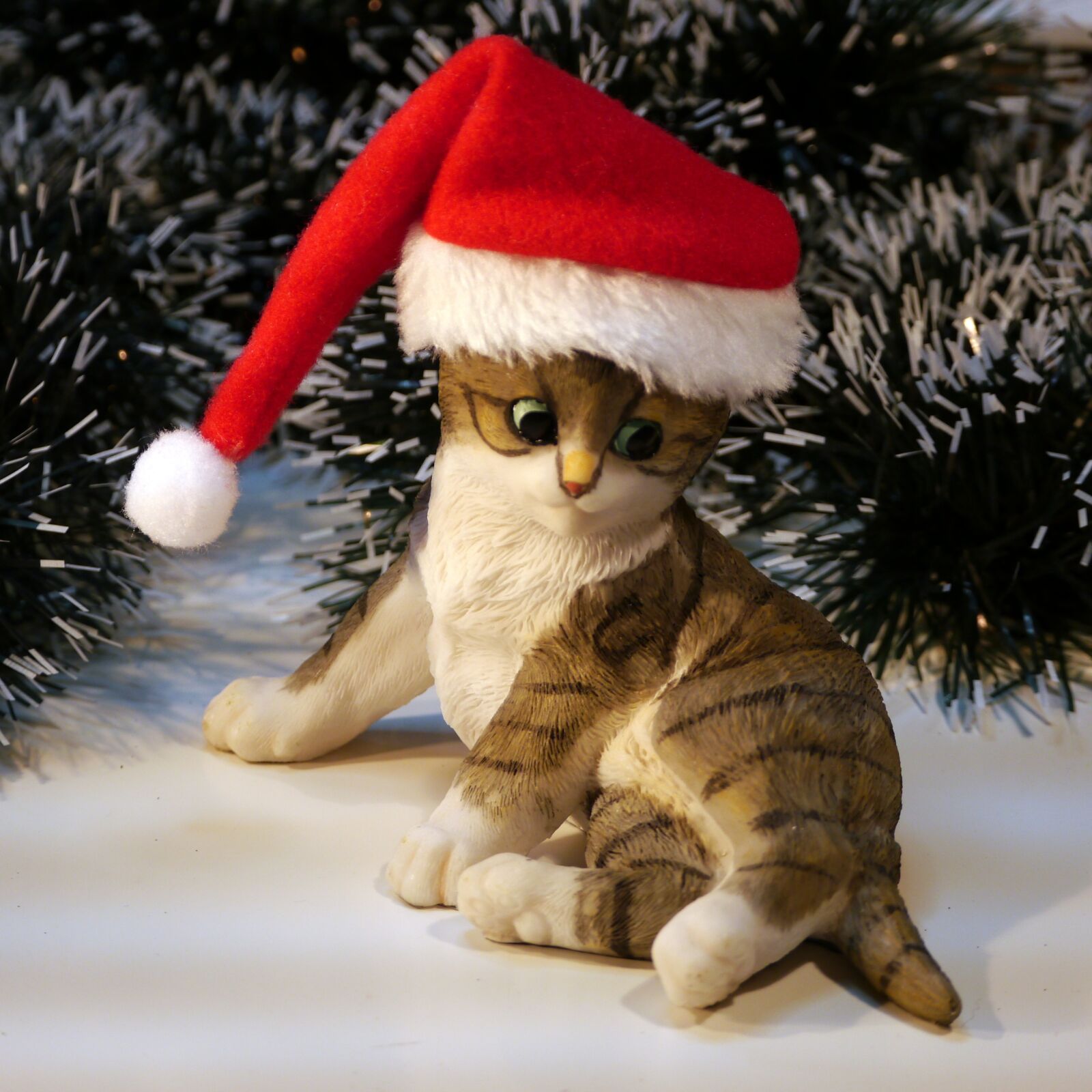 Panasonic Lumix DMC-G5 sample photo. Nicholas, christmas, cat photography
