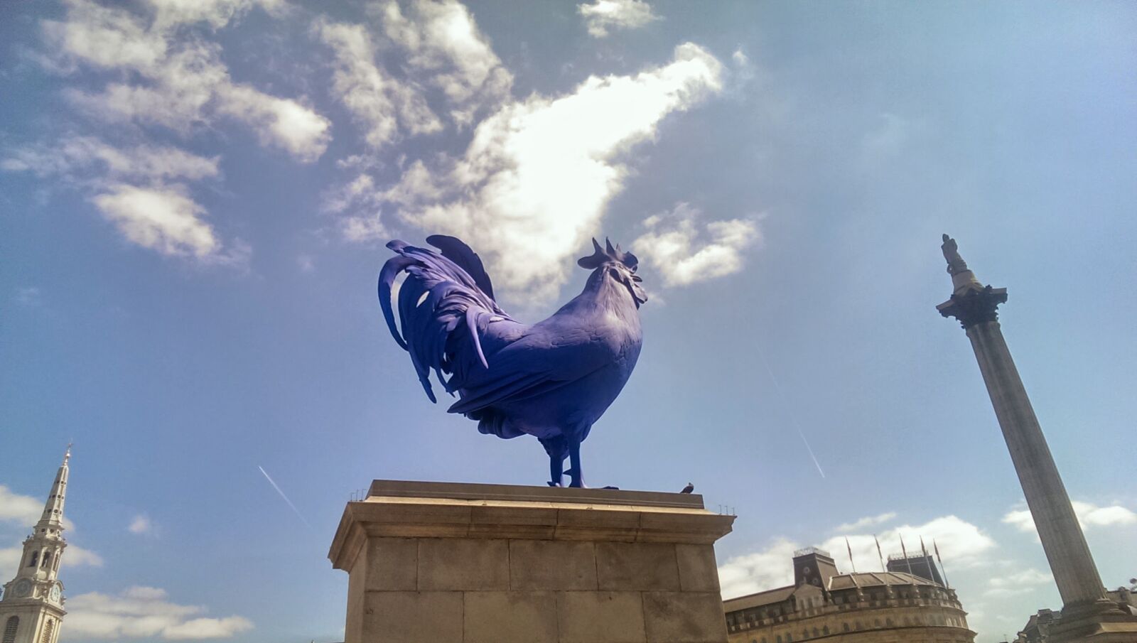 HTC ONE sample photo. Blue, chicken, cock, hahn photography