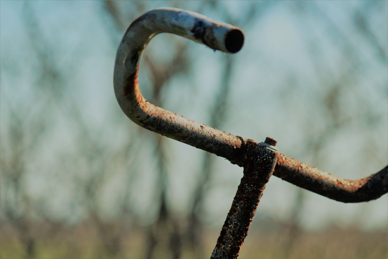 Canon EF-S 55-250mm F4-5.6 IS sample photo. Bicycle, old, rusty photography