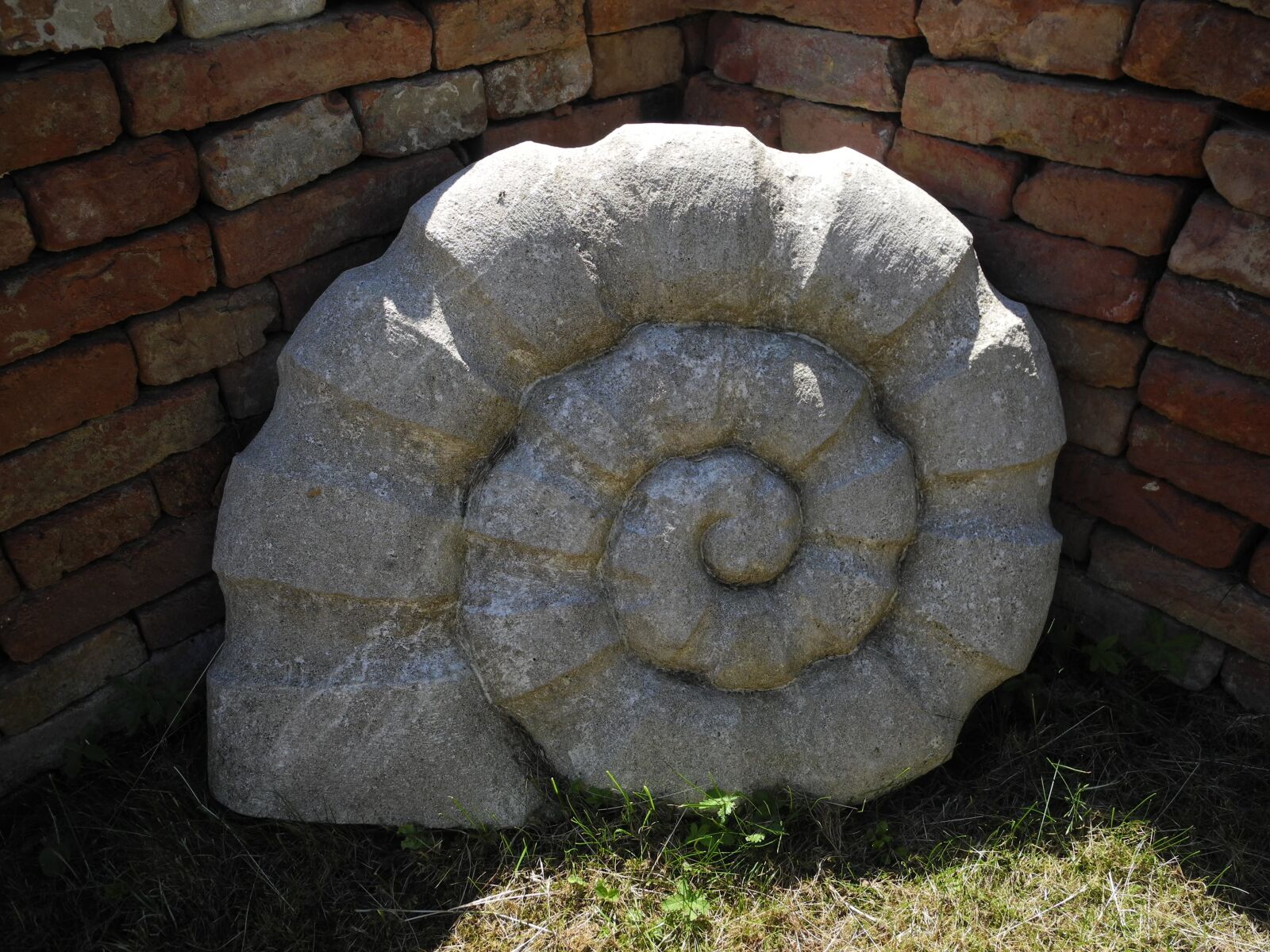 Nikon Coolpix P7000 sample photo. Stone, snail, garden photography