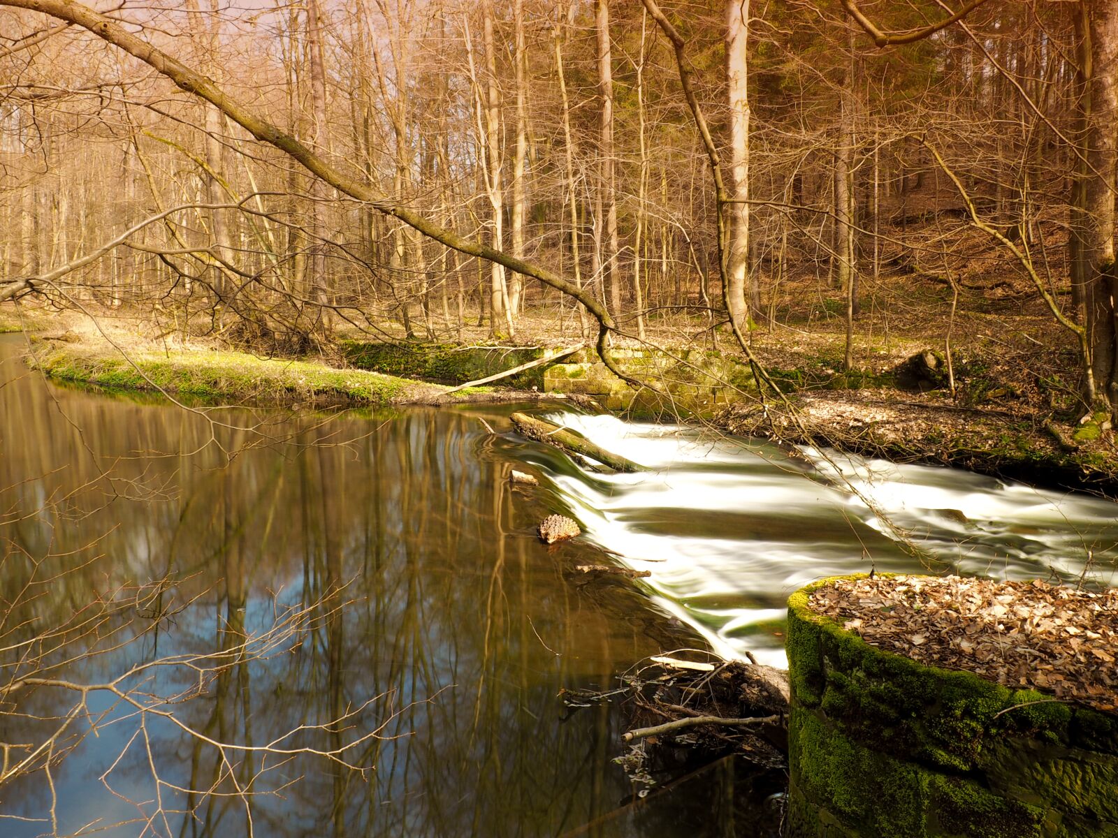 Olympus PEN E-PL7 sample photo. River, valley, water photography