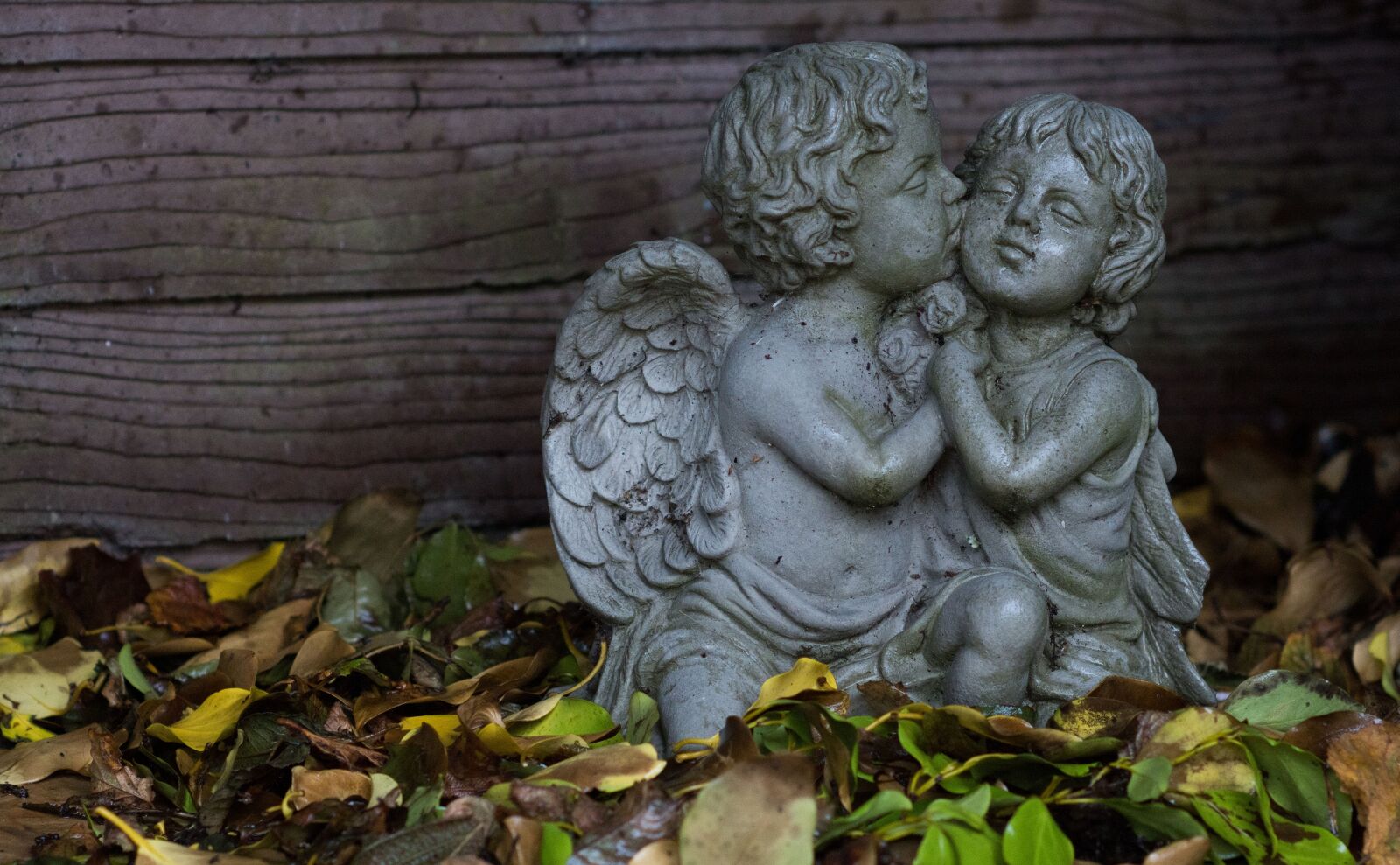 Nikon D500 sample photo. Angel, angels, love photography